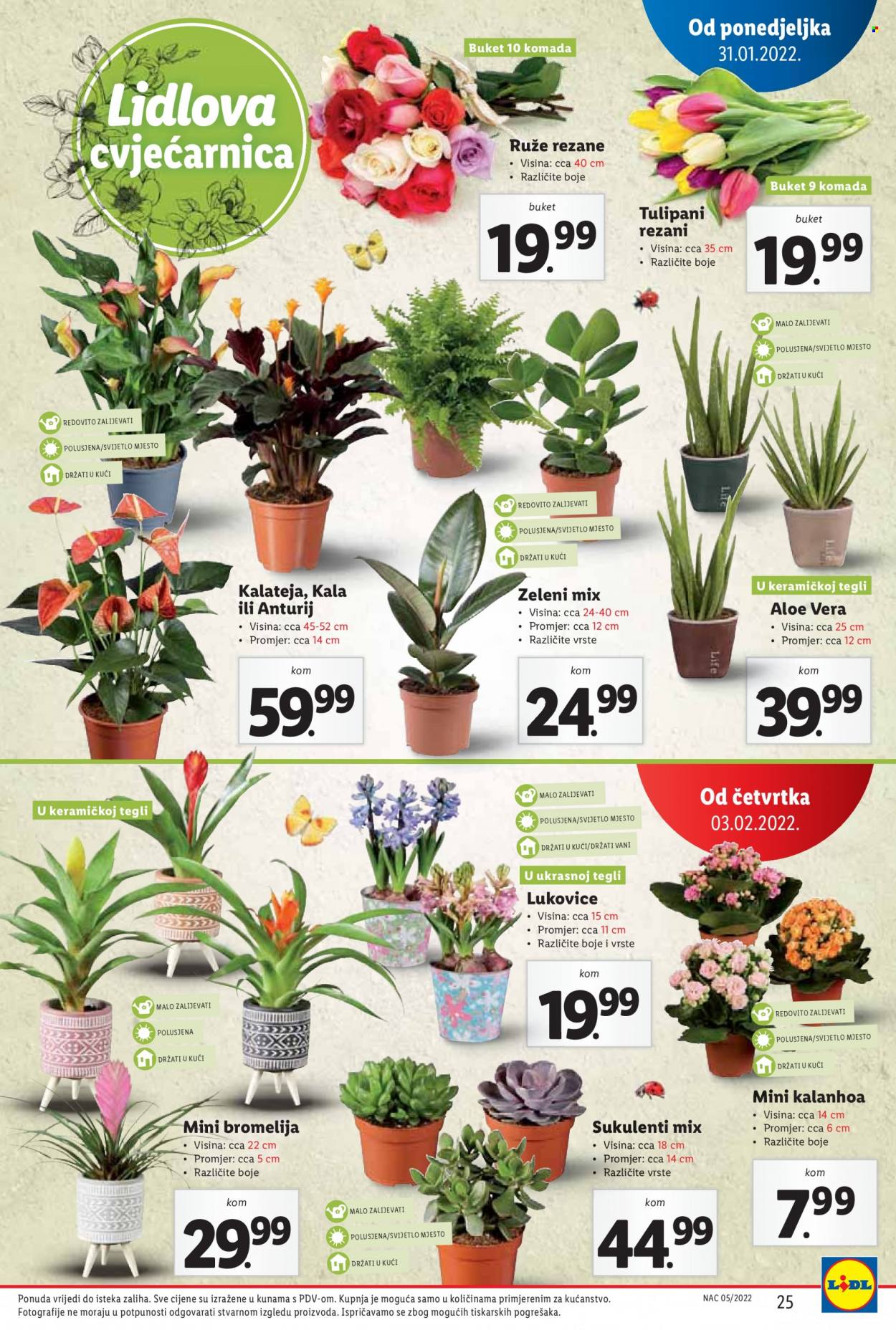 Lidl katalog - 31.01.2022. - 06.02.2022. Stranica 25