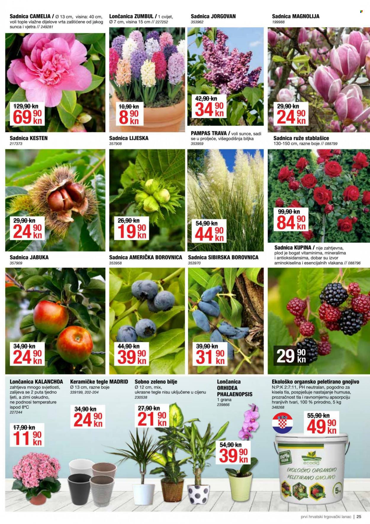 Pevex katalog - 03.02.2022. - 01.03.2022. Stranica 25