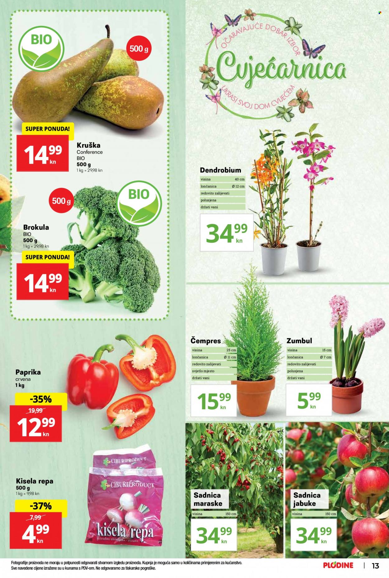 Plodine katalog - 03.02.2022. - 09.02.2022. Stranica 13