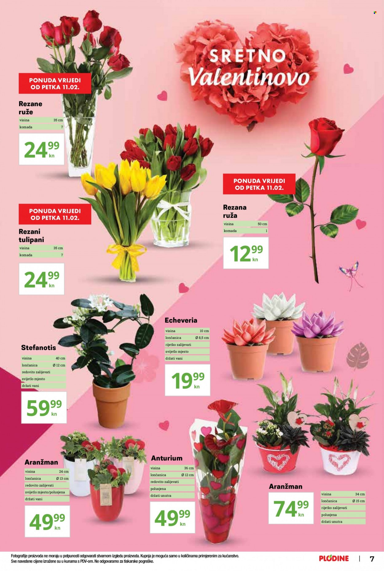 Plodine katalog - 10.02.2022. - 16.02.2022. Stranica 7