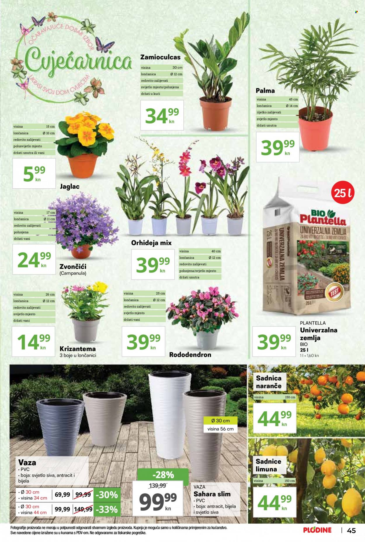 Plodine katalog - 17.02.2022. - 23.02.2022. Stranica 45