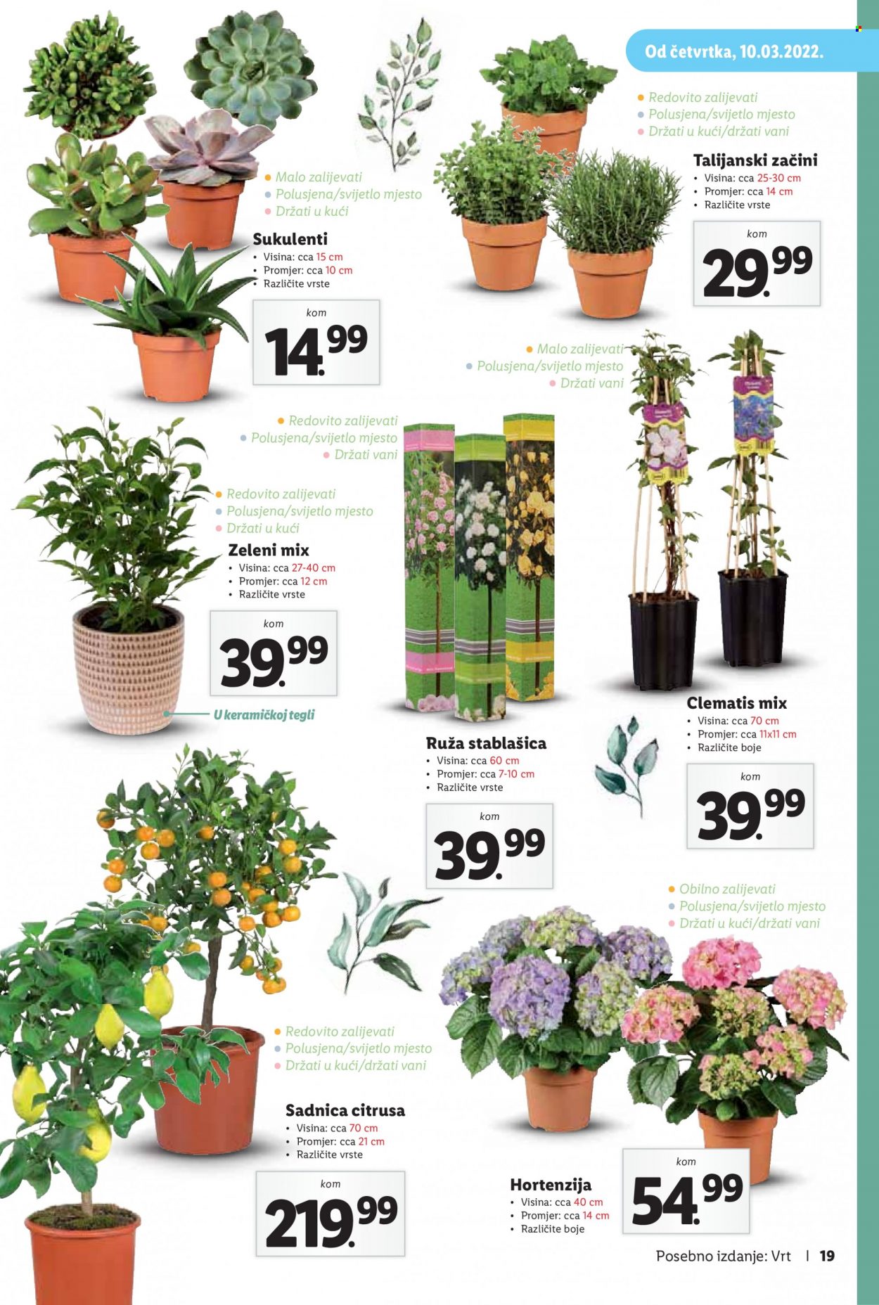 Lidl katalog Stranica 19