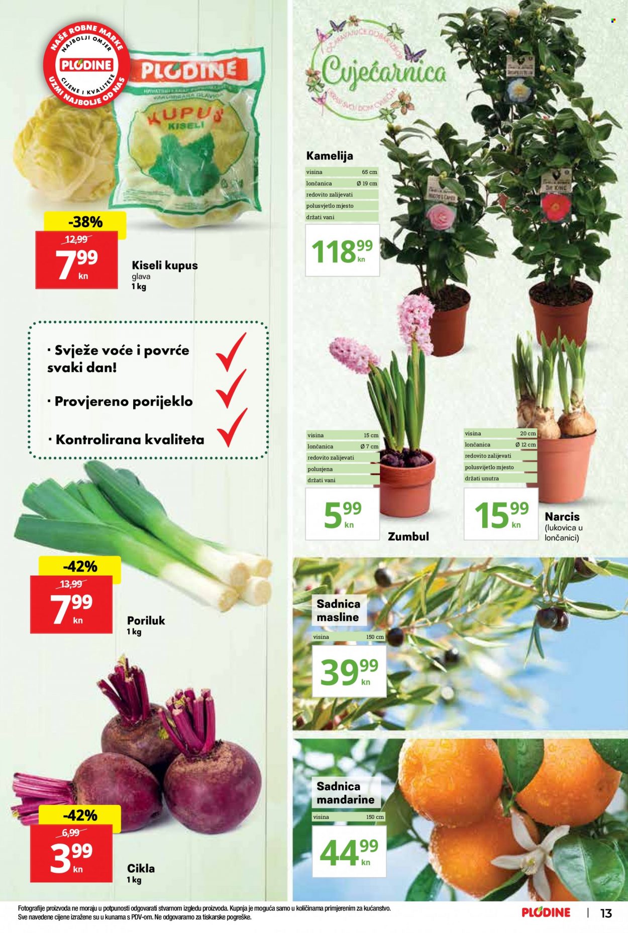 Plodine katalog - 24.02.2022. - 02.03.2022. Stranica 13