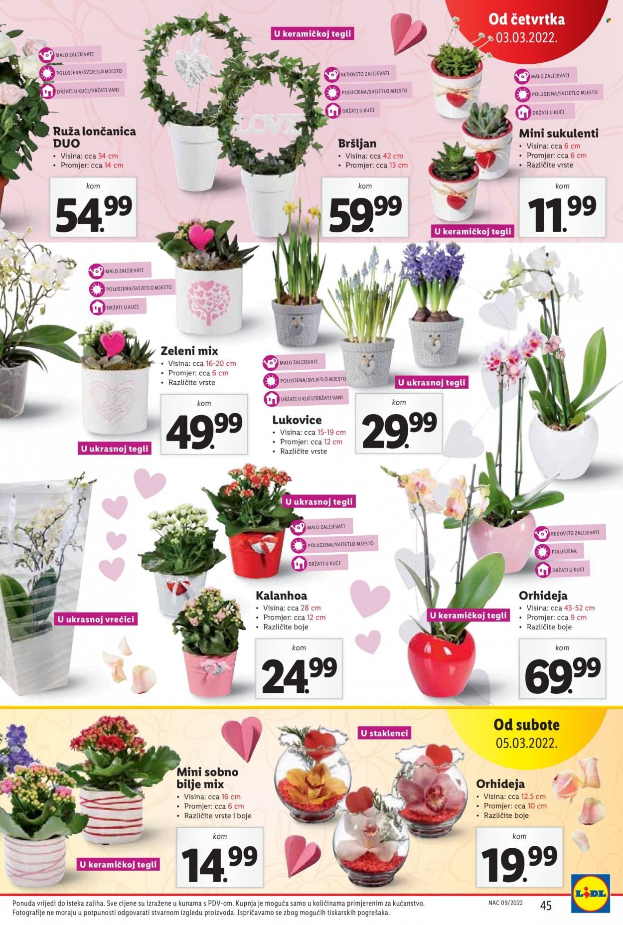 Lidl katalog - 28.02.2022. - 06.03.2022. Stranica 45