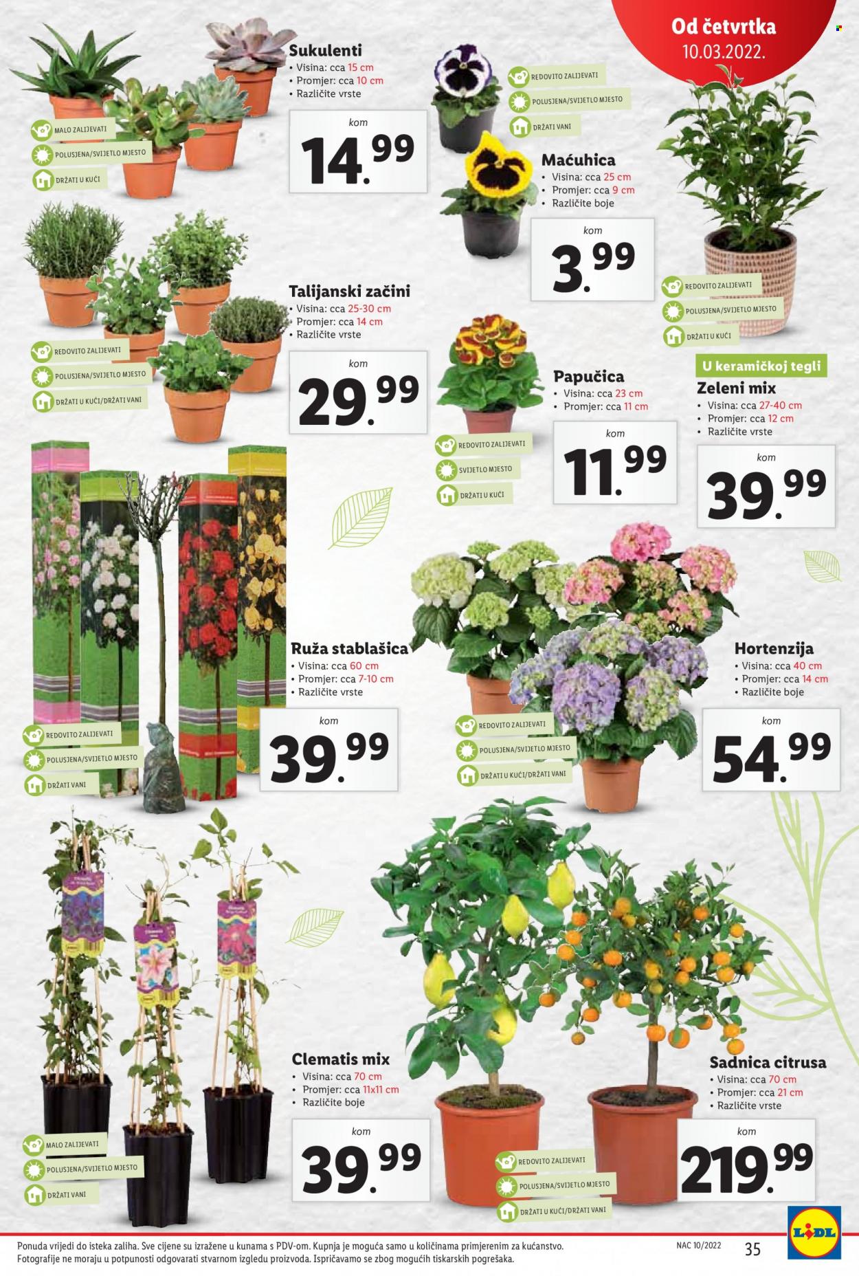Lidl katalog - 07.03.2022. - 13.03.2022. Stranica 35