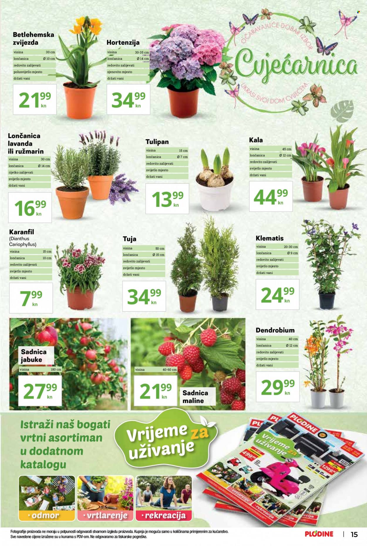Plodine katalog - 17.03.2022. - 23.03.2022. Stranica 15