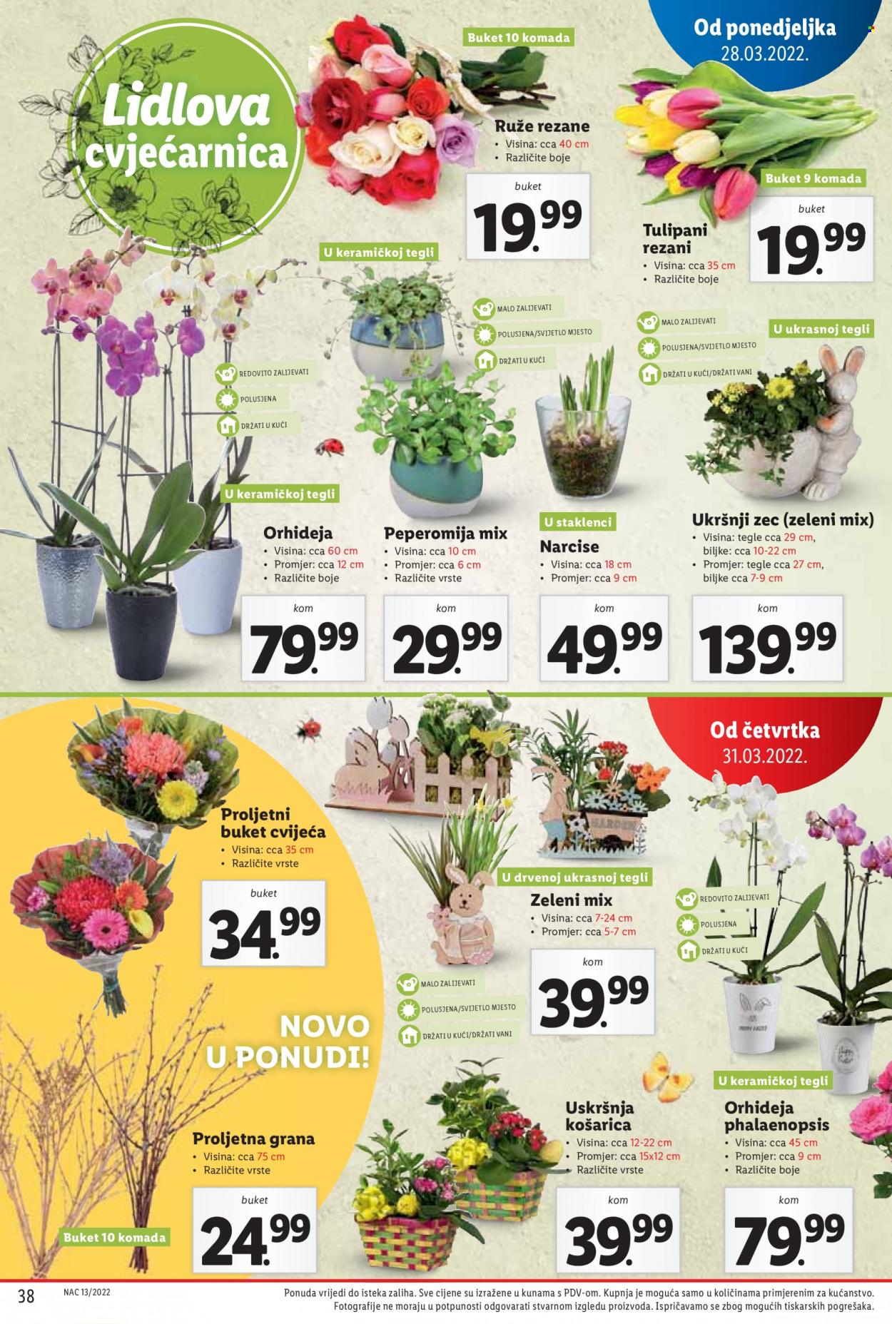 Lidl katalog - 28.03.2022. - 03.04.2022. Stranica 38