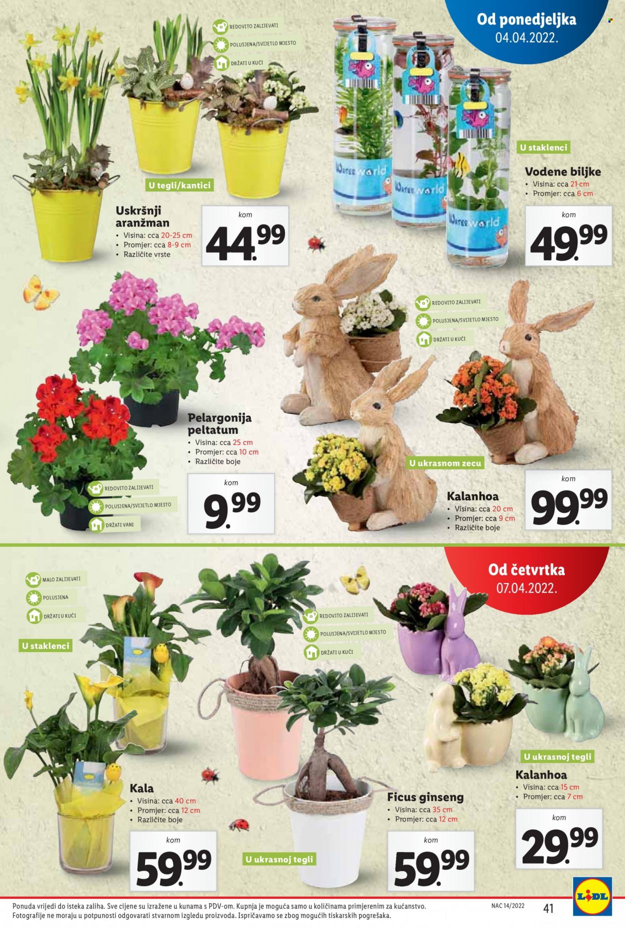 Lidl katalog - 04.04.2022. - 10.04.2022. Stranica 41