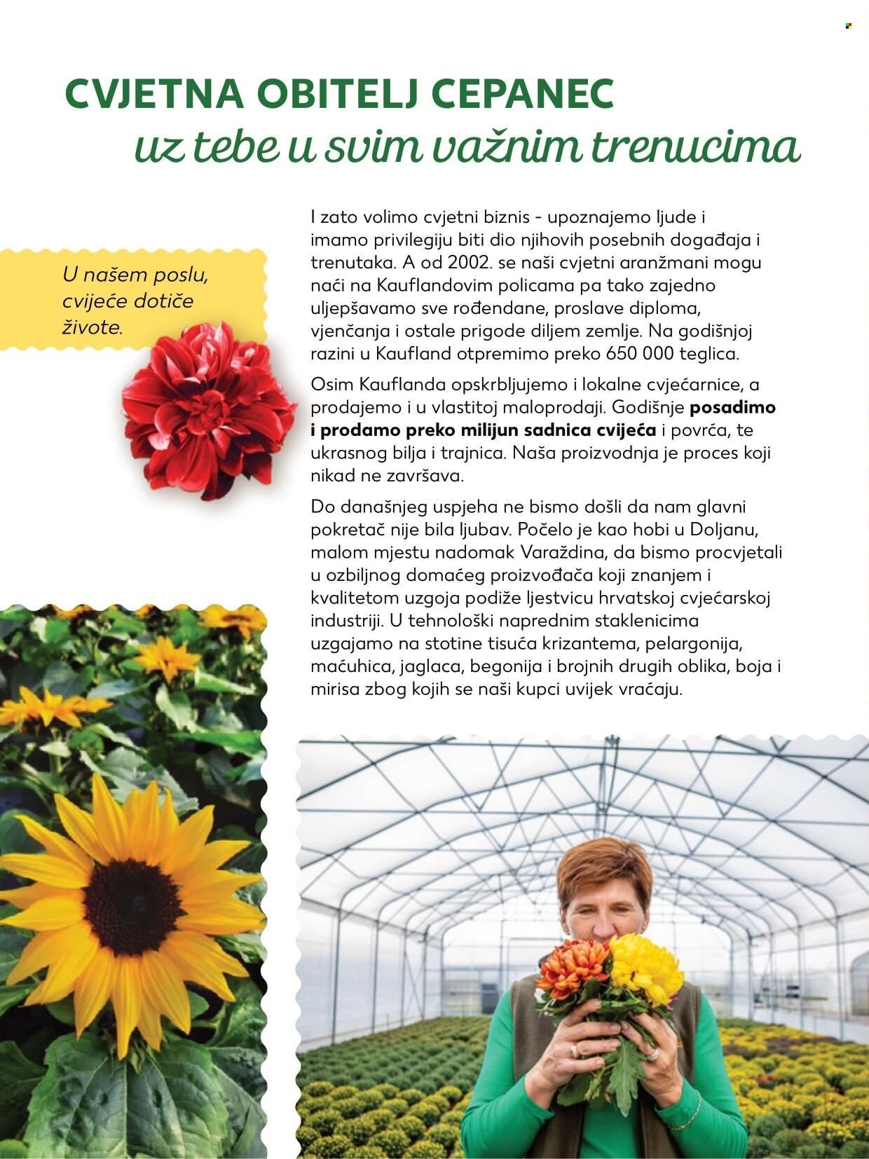 Kaufland katalog - 30.03.2022. - 26.04.2022. Stranica 10