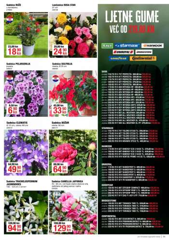 {store} katalog