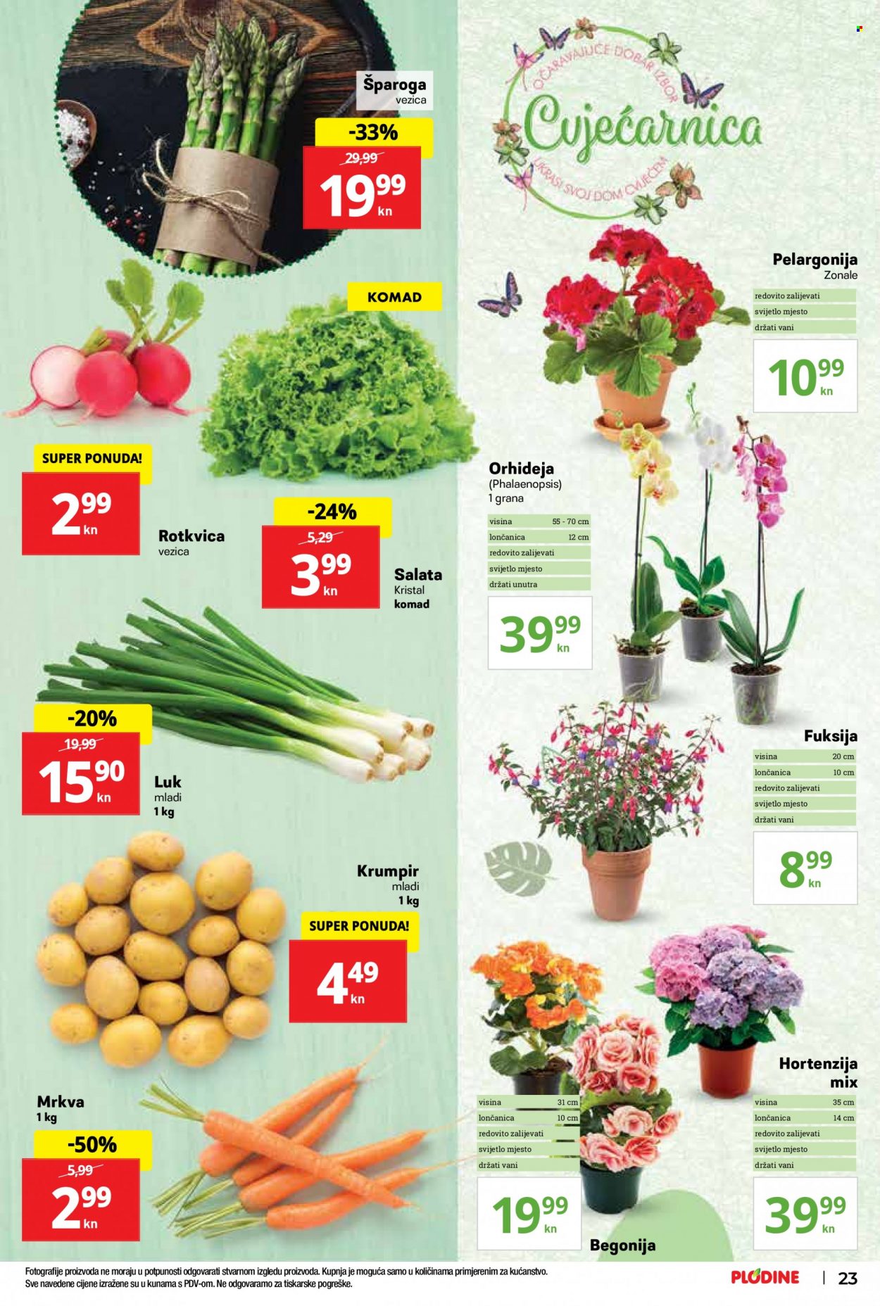 Plodine katalog - 13.04.2022. - 19.04.2022. Stranica 23