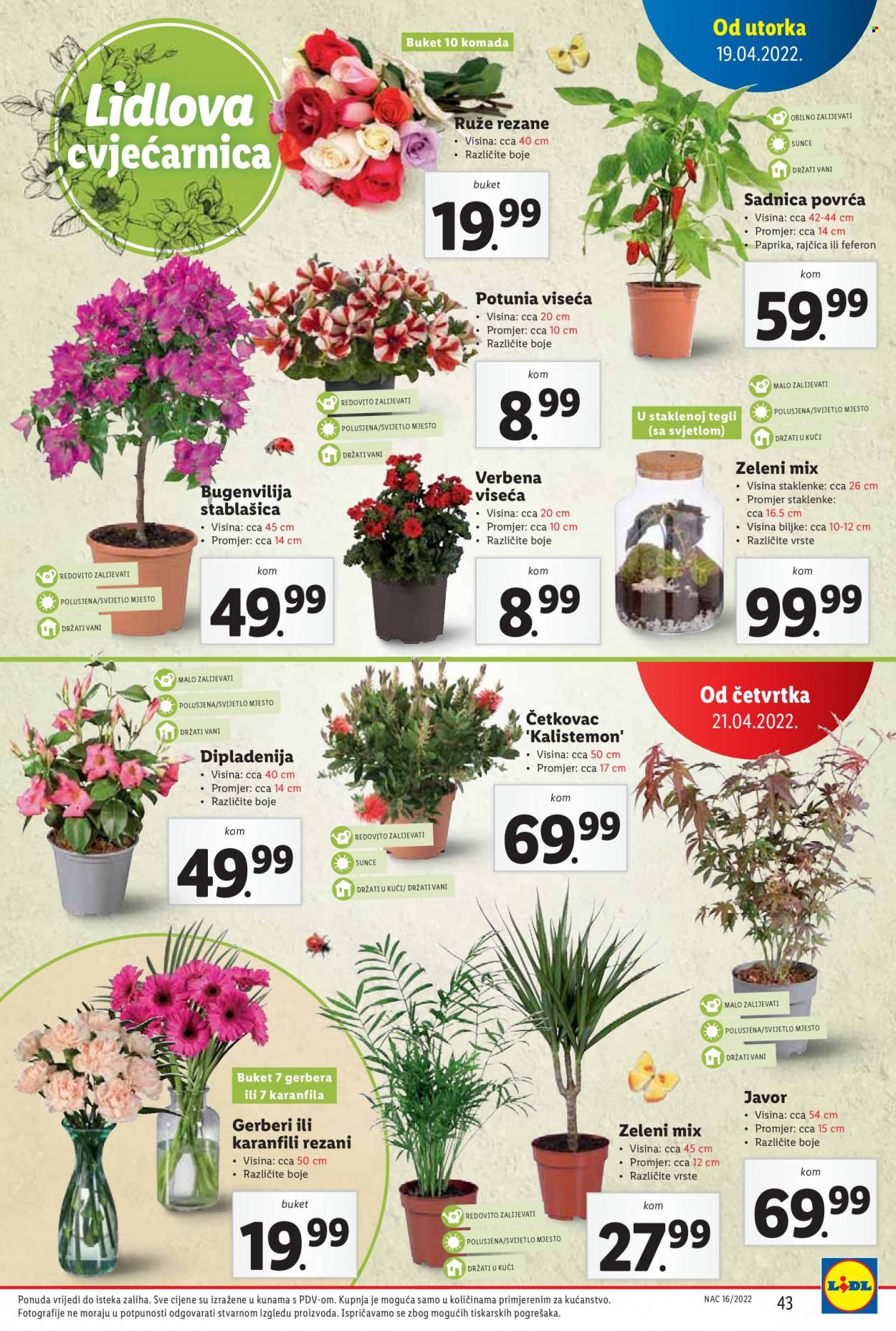 Lidl katalog - 19.04.2022. - 24.04.2022. Stranica 43