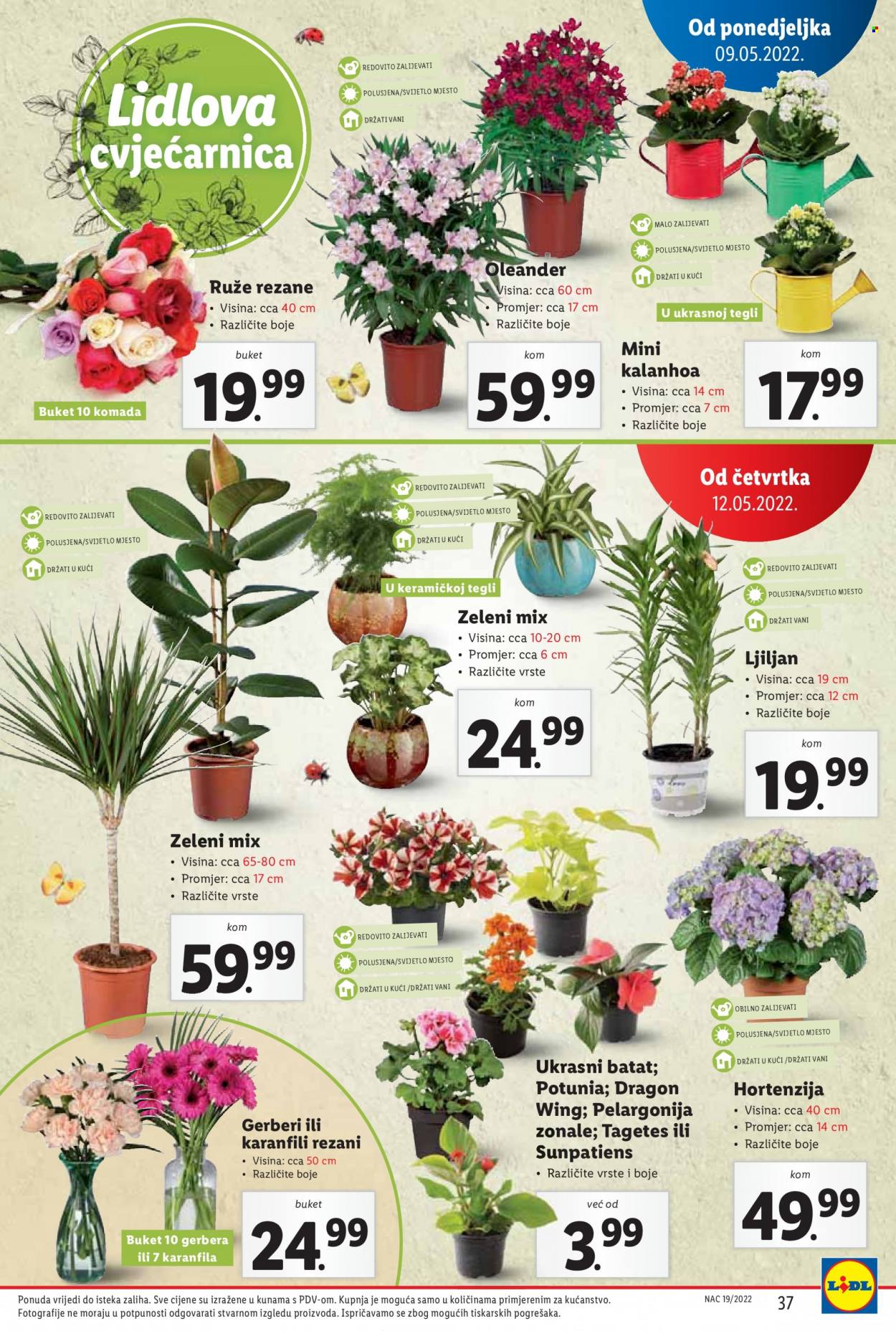 Lidl katalog - 09.05.2022. - 15.05.2022. Stranica 37