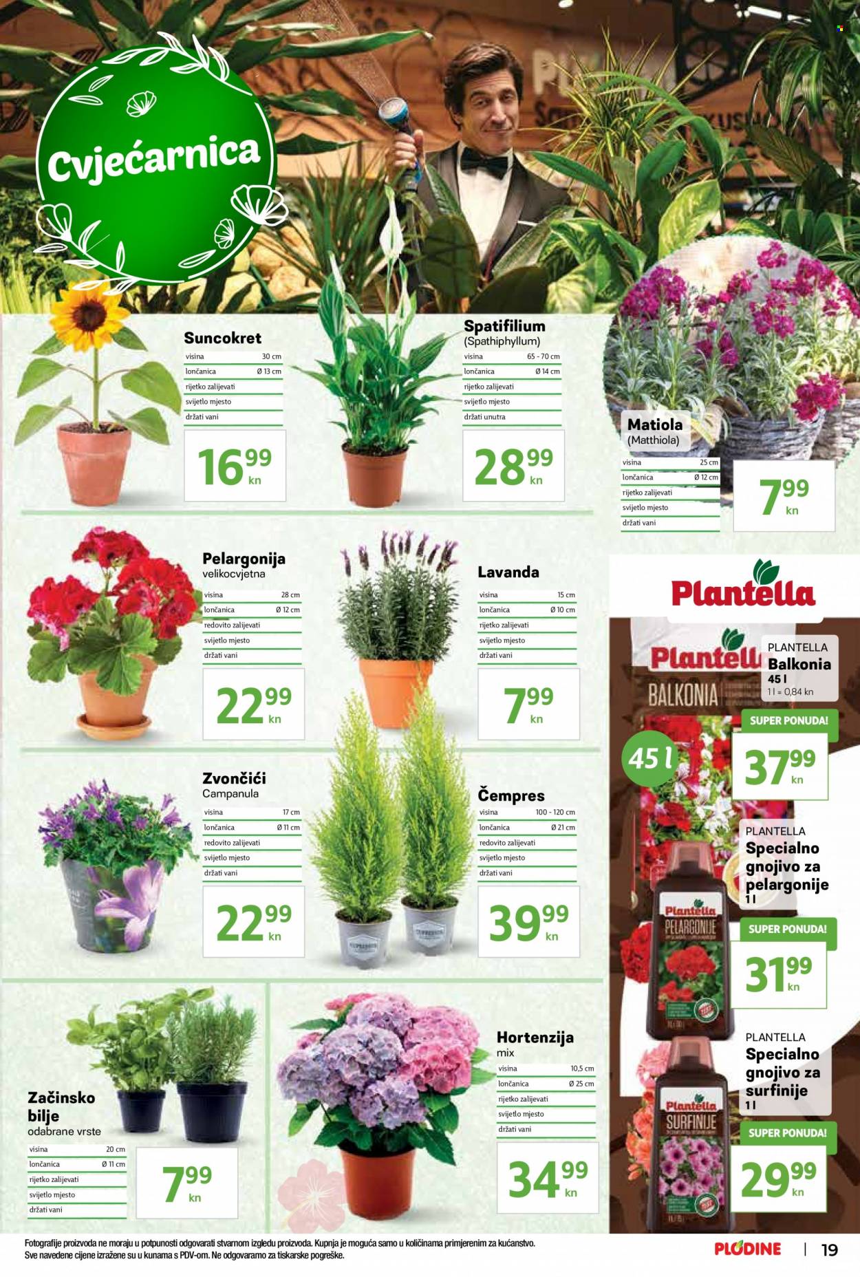 Plodine katalog - 11.05.2022. - 17.05.2022. Stranica 19