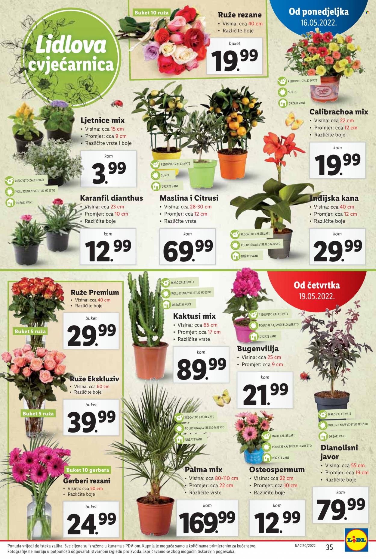 Lidl katalog - 16.05.2022. - 22.05.2022. Stranica 35