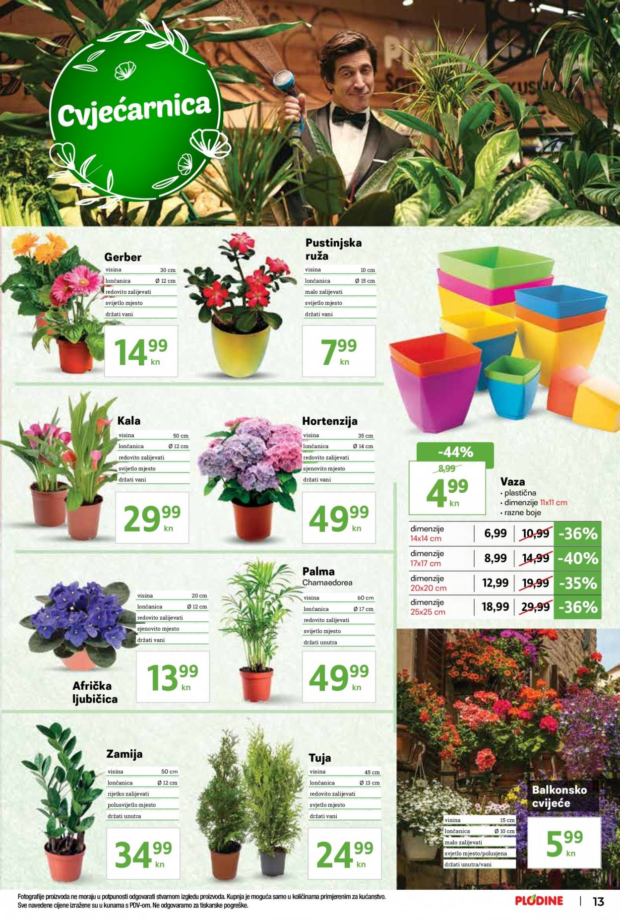 Plodine katalog - 18.05.2022. - 24.05.2022. Stranica 13