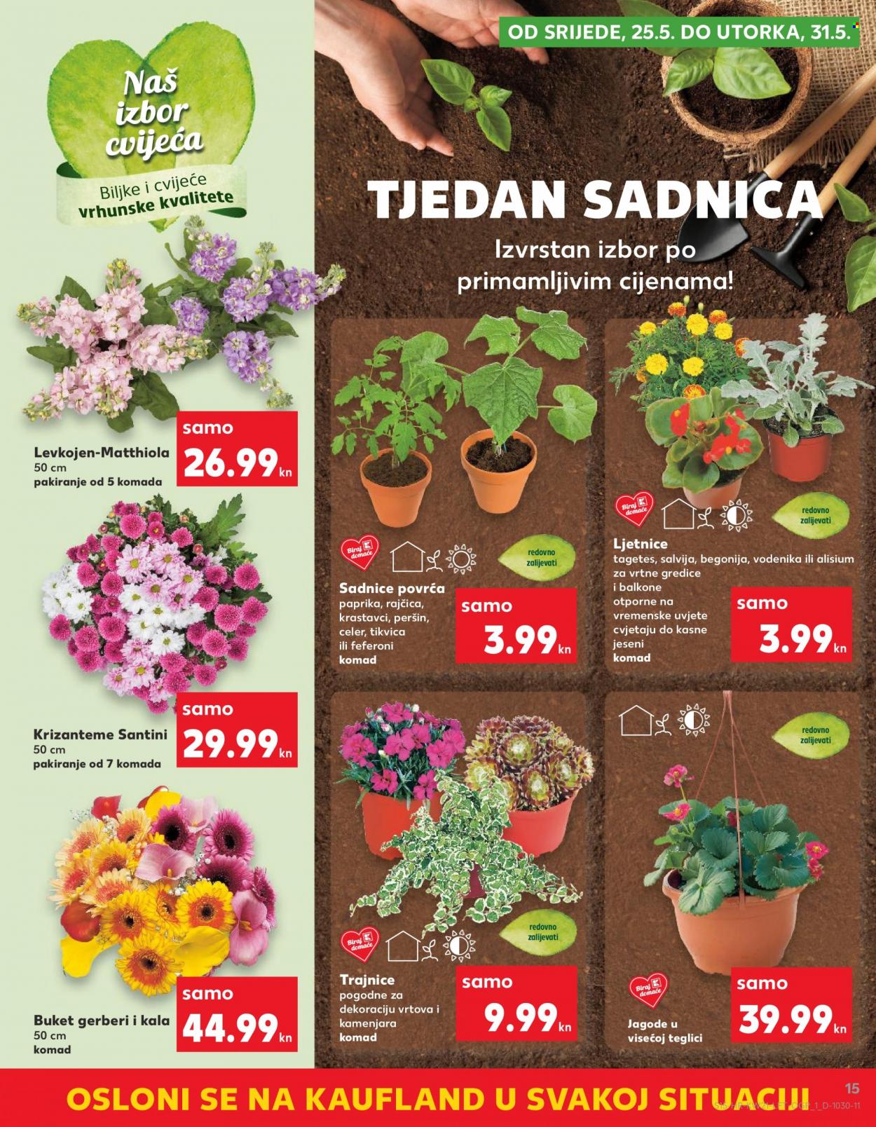 Kaufland katalog - 25.05.2022. - 31.05.2022. Stranica 15
