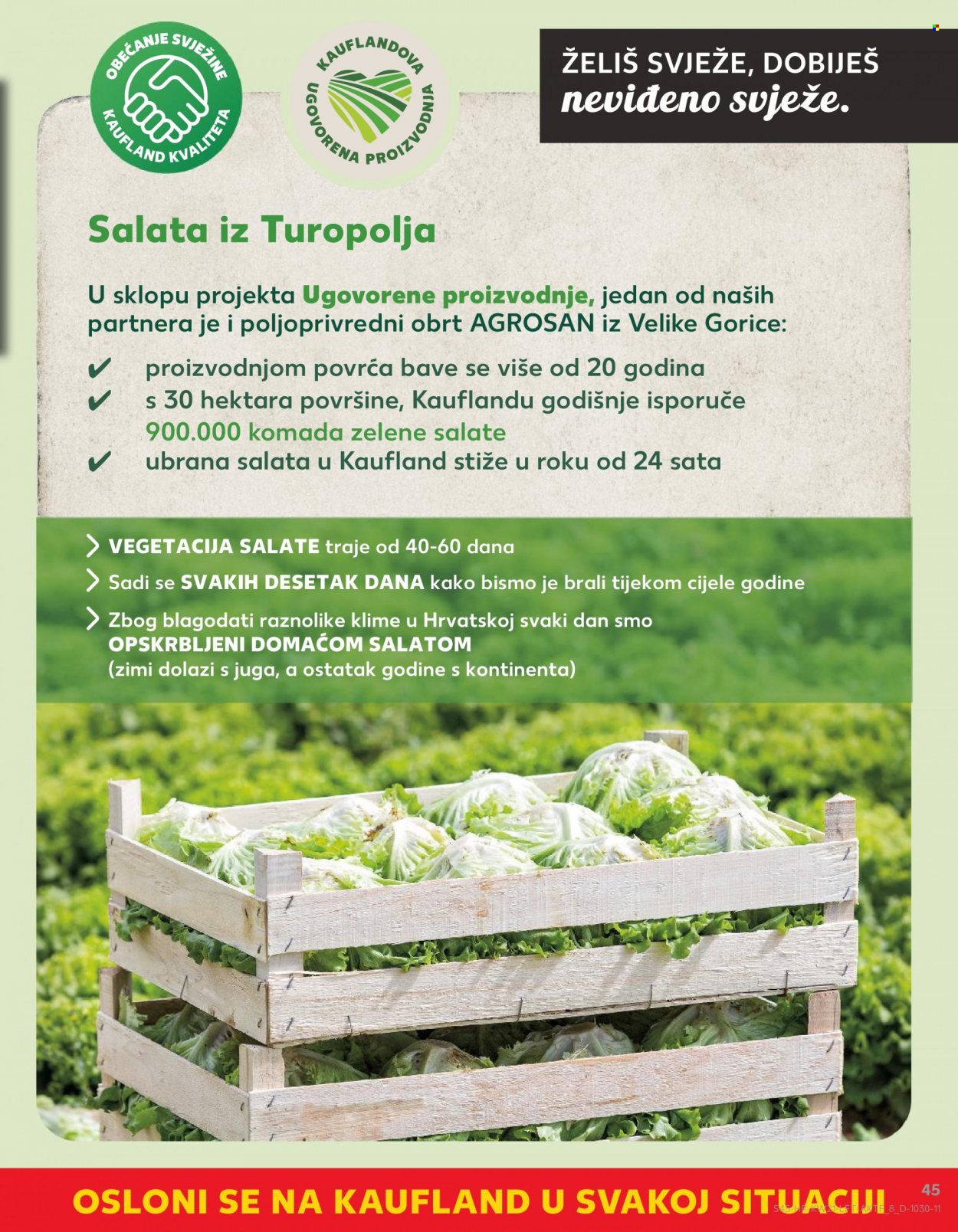 Kaufland katalog - 25.05.2022. - 31.05.2022. Stranica 45