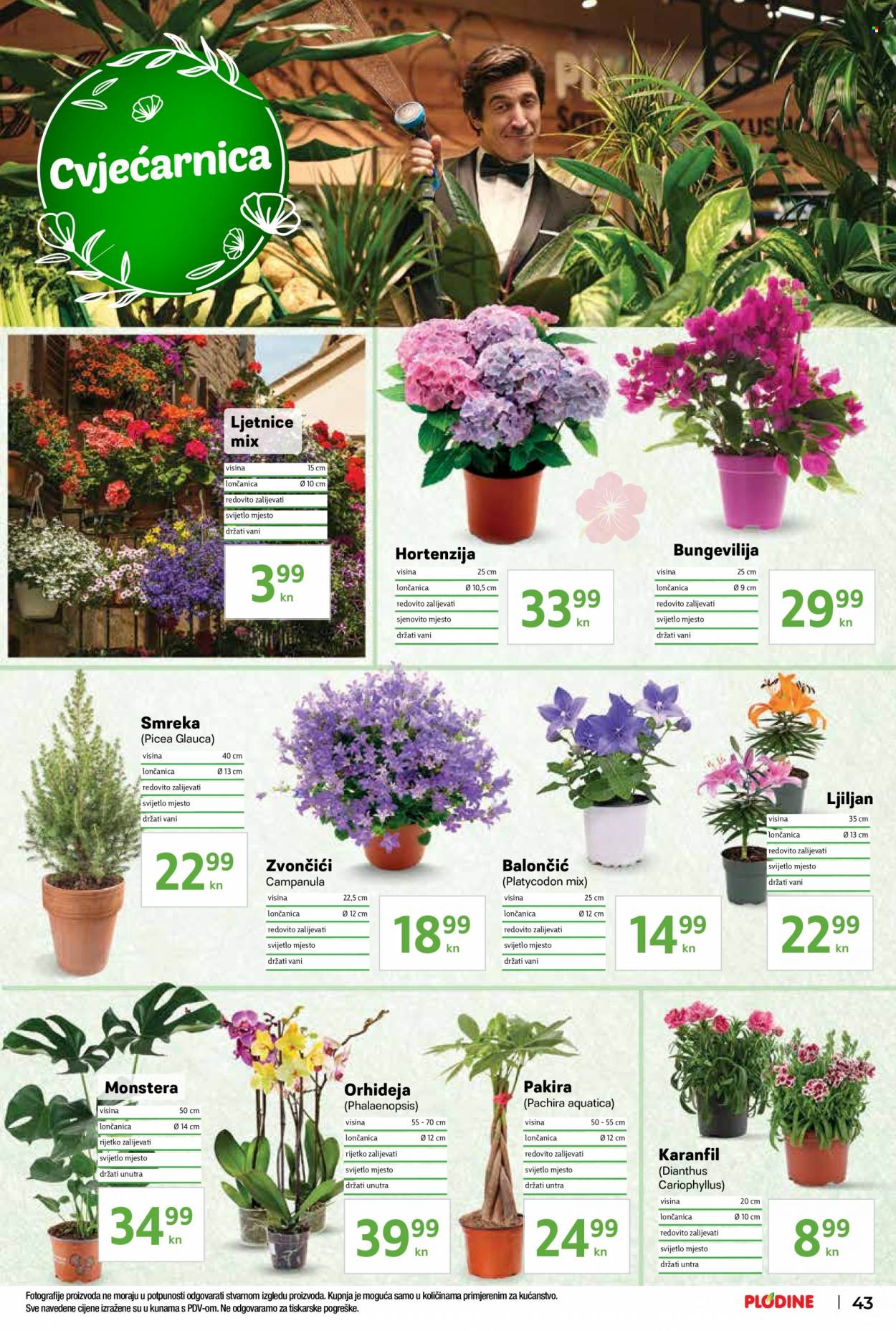 Plodine katalog - 25.05.2022. - 31.05.2022. Stranica 43