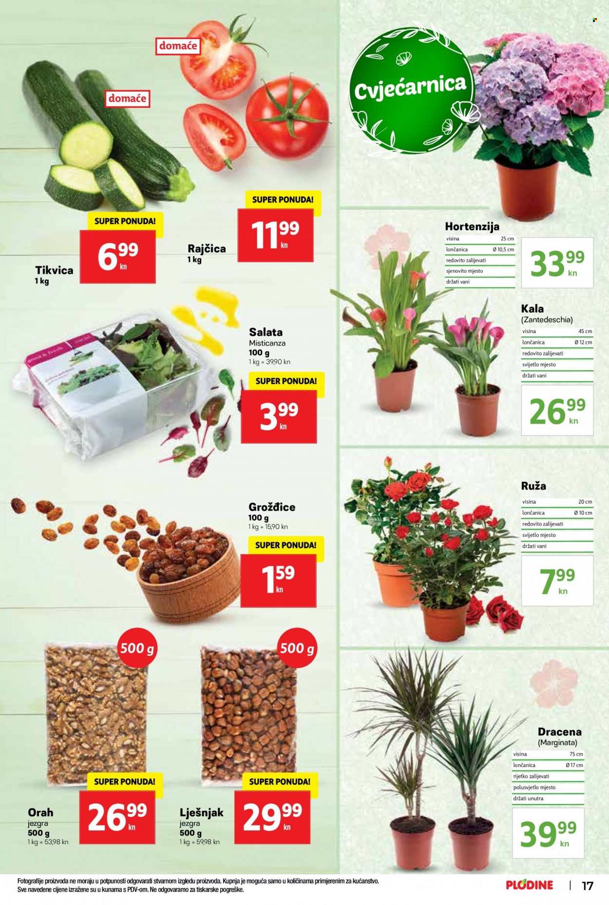 Plodine katalog - 01.06.2022. - 07.06.2022. Stranica 17