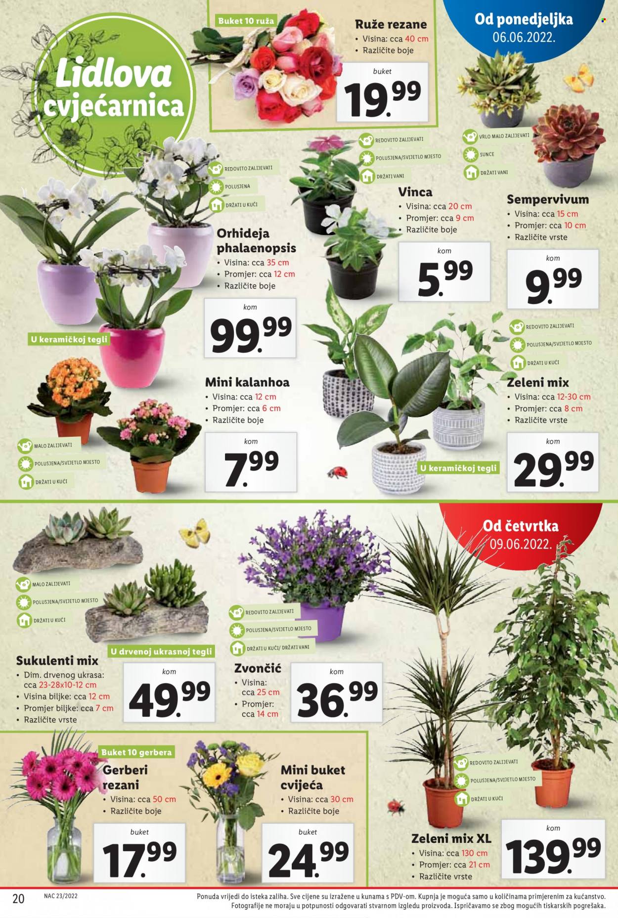 Lidl katalog - 06.06.2022. - 12.06.2022. Stranica 20