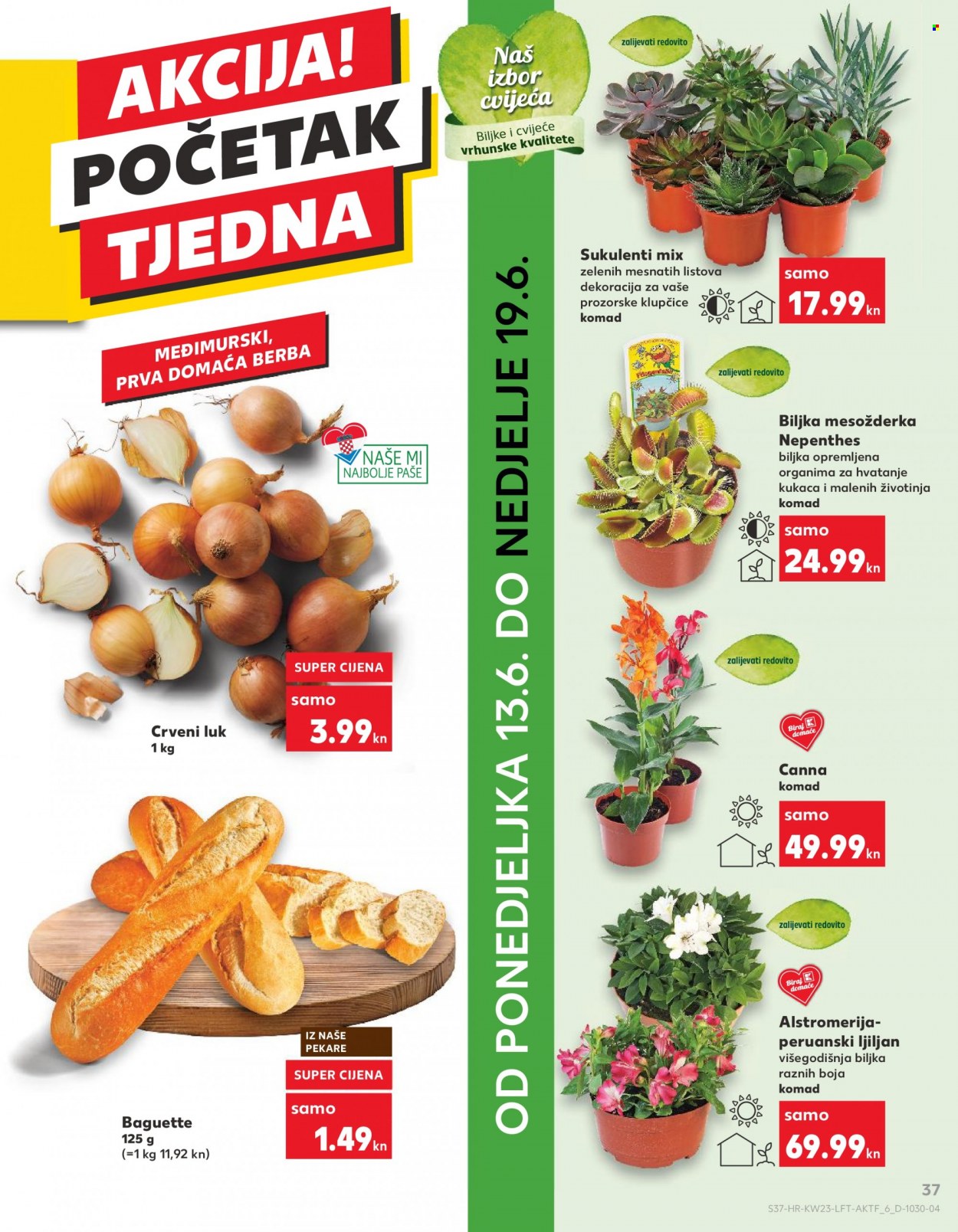 Kaufland katalog - 08.06.2022. - 14.06.2022. Stranica 37