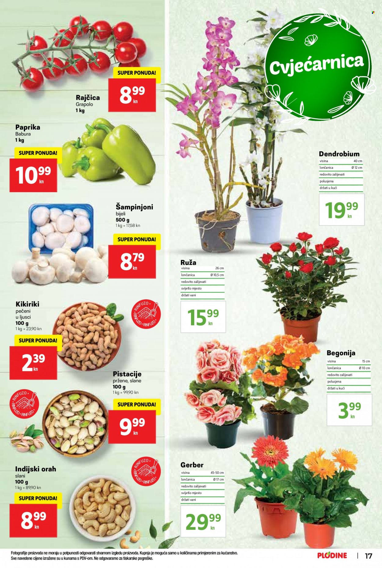 Plodine katalog - 08.06.2022. - 14.06.2022. Stranica 17