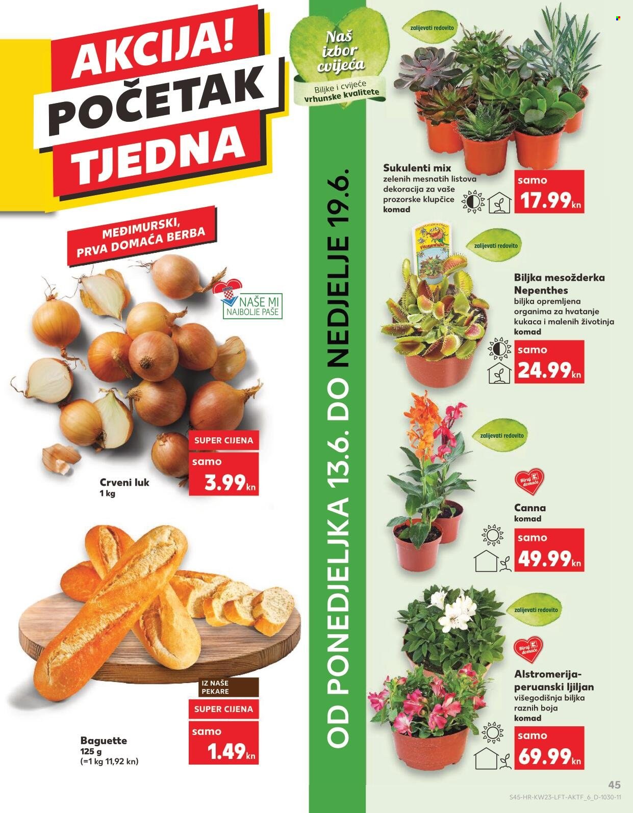 Kaufland katalog - 08.06.2022. - 14.06.2022. Stranica 44