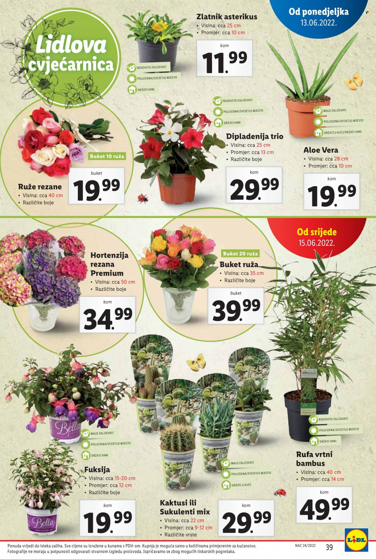 Lidl katalog - 13.06.2022. - 19.06.2022. Stranica 39