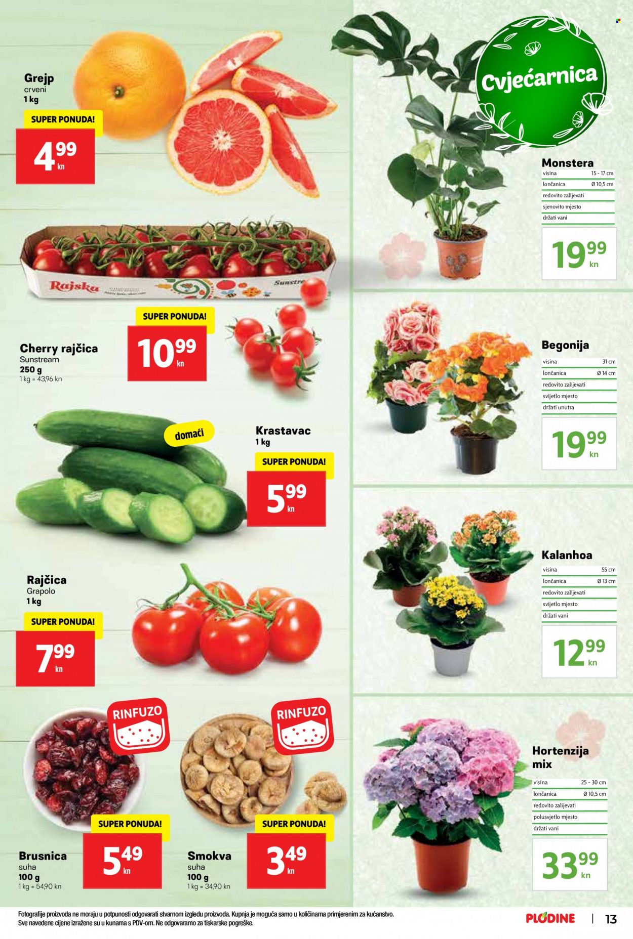 Plodine katalog - 21.06.2022. - 28.06.2022. Stranica 13