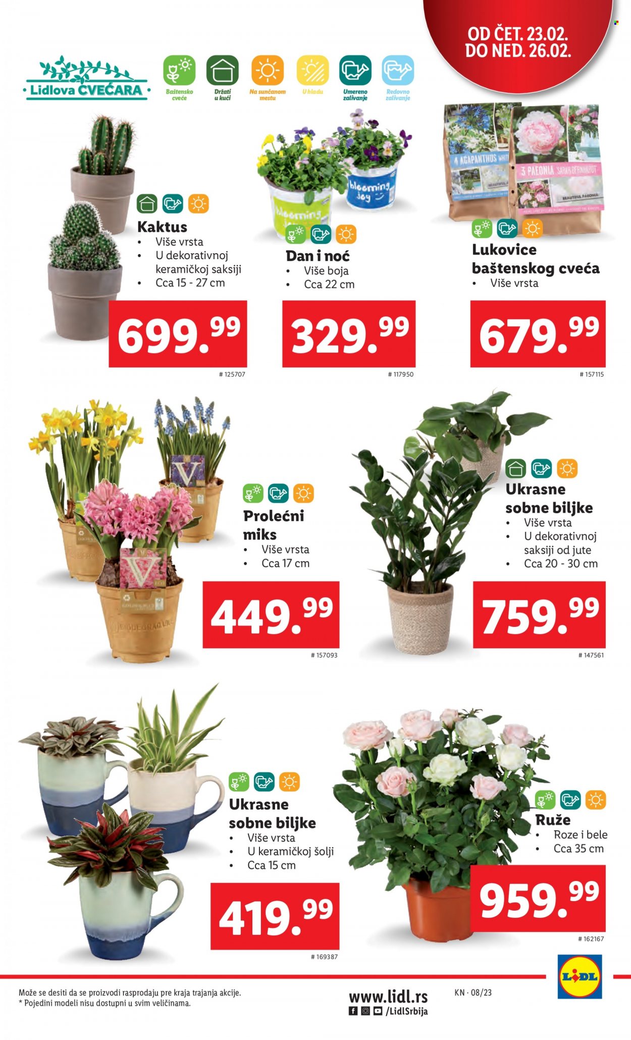 Lidl katalog - 23.02.2023 - 01.03.2023. Stranica 5