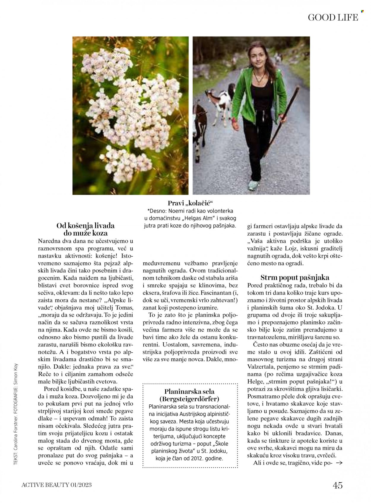 dm drogerie katalog. Stranica 45