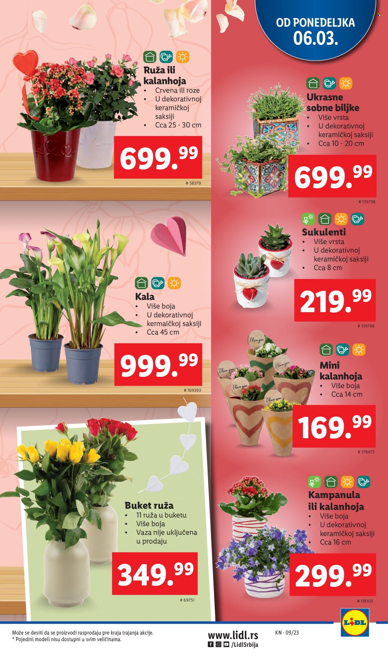 Lidl katalog - 02.03.2023 - 08.03.2023. Stranica 63