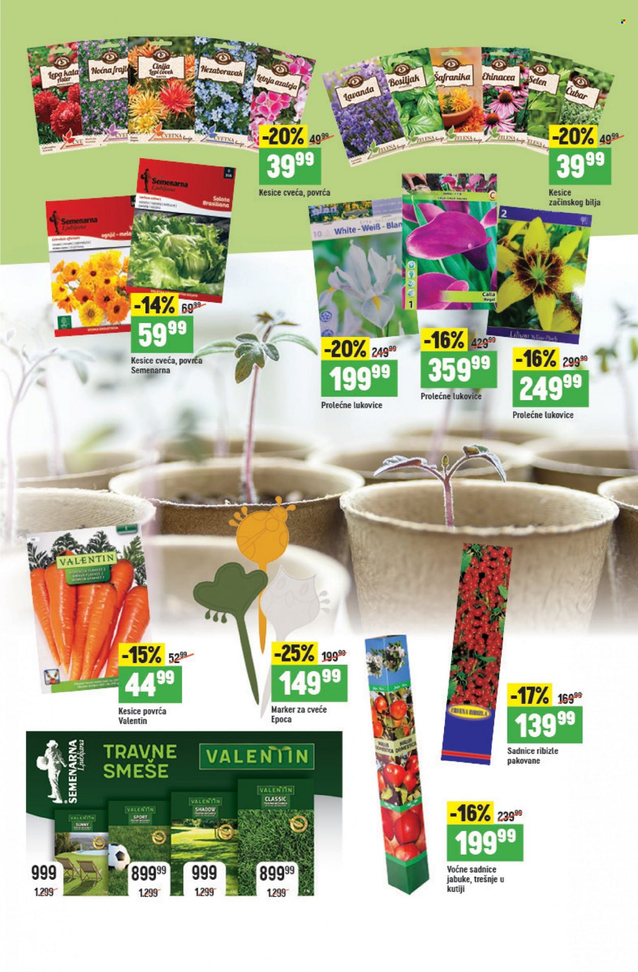 thumbnail - Mega Maxi katalog - 09.03.2023 - 05.04.2023 - Proizvodi na akciji - markeri, sadnice, voćne sadnice, seme cveća, seme začinskog bilja, lukovice cveća, seme povrća. Stranica 4.