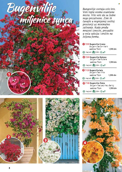 Flora Ekspres katalog. Stranica 4