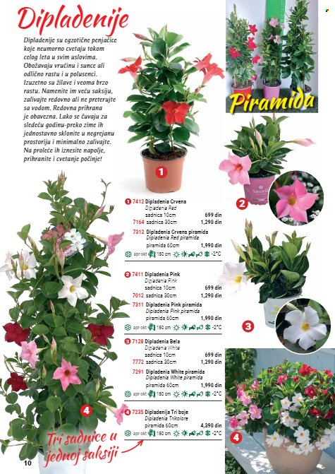 Flora Ekspres katalog. Stranica 10