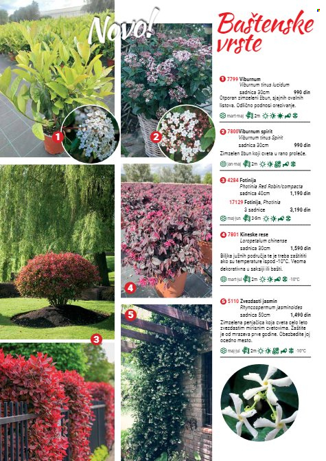 Flora Ekspres katalog. Stranica 14