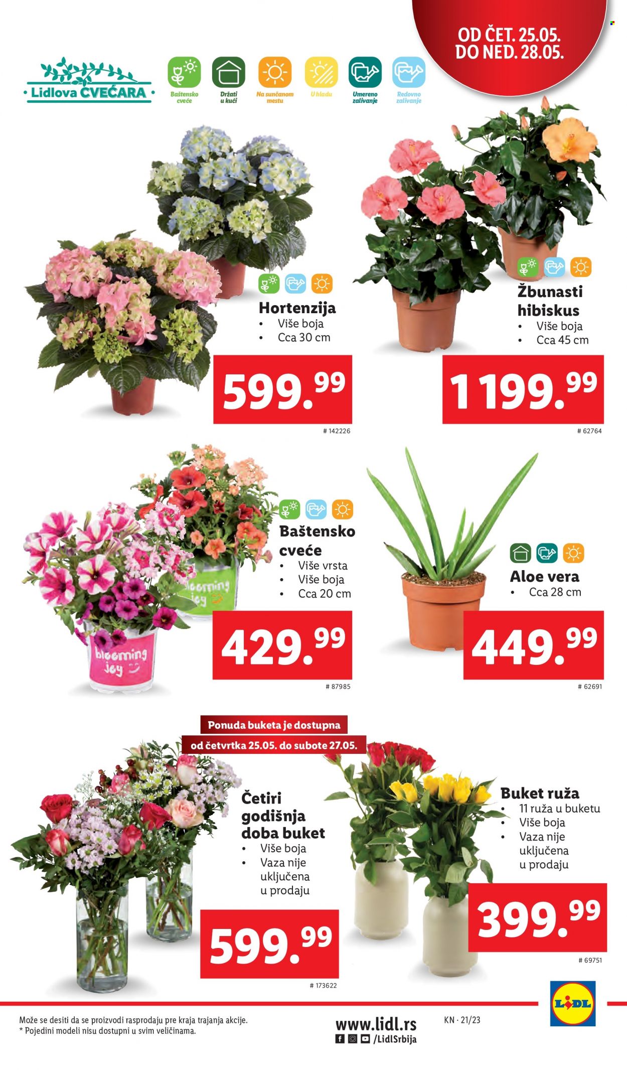 Lidl katalog - 25.05.2023 - 31.05.2023. Stranica 3