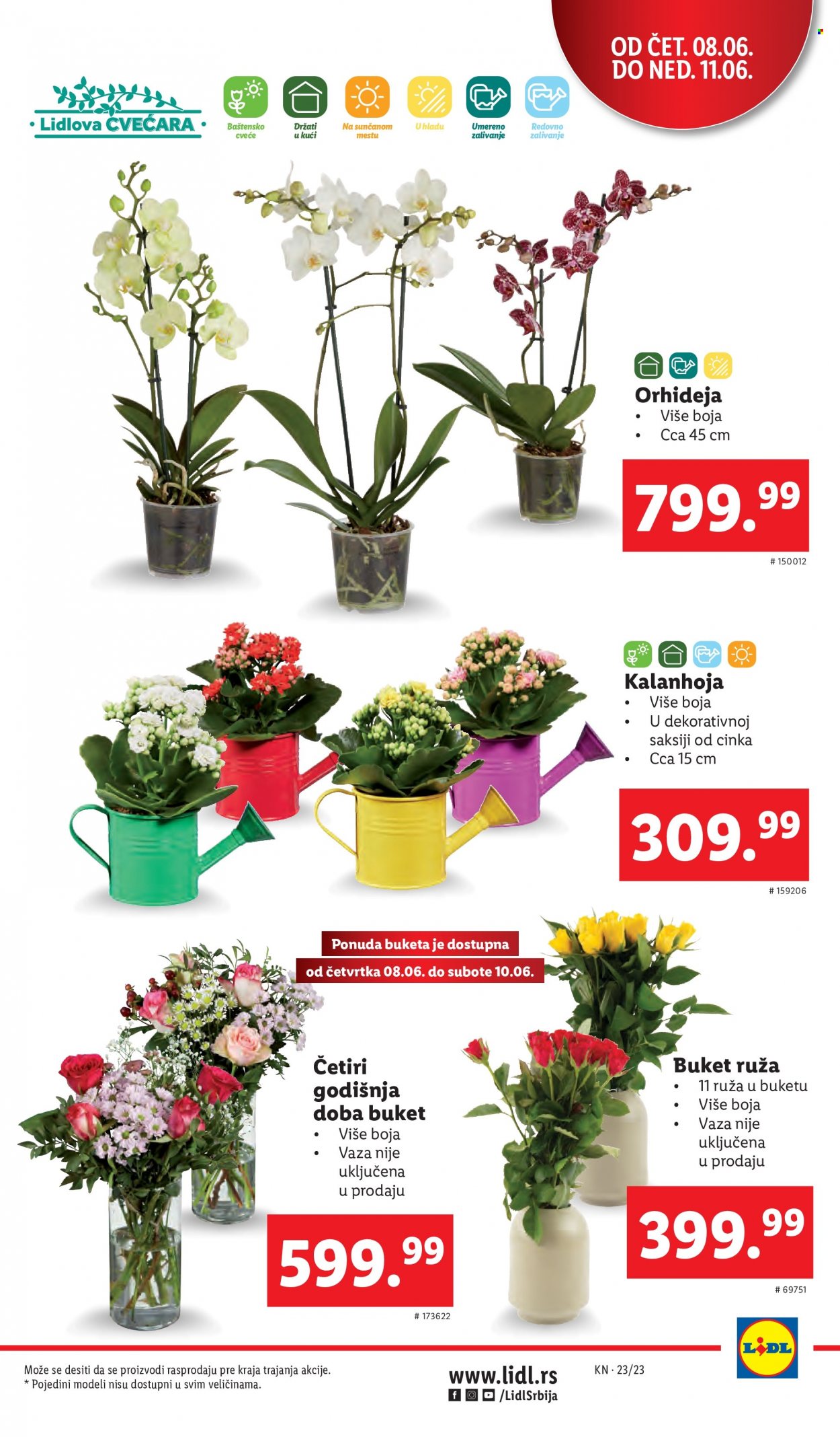 Lidl katalog - 08.06.2023 - 14.06.2023. Stranica 5