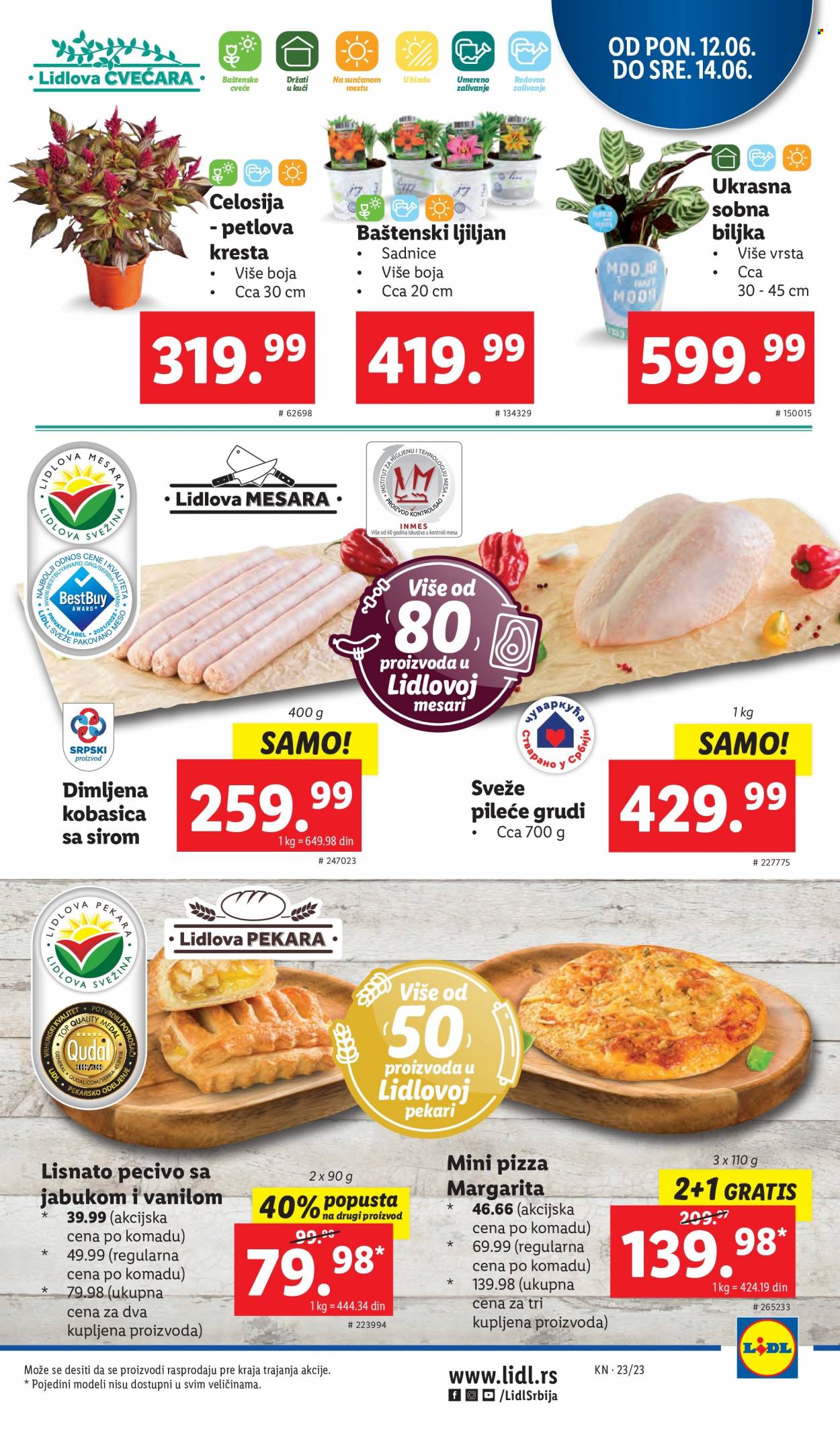 Lidl katalog - 08.06.2023 - 14.06.2023. Stranica 49