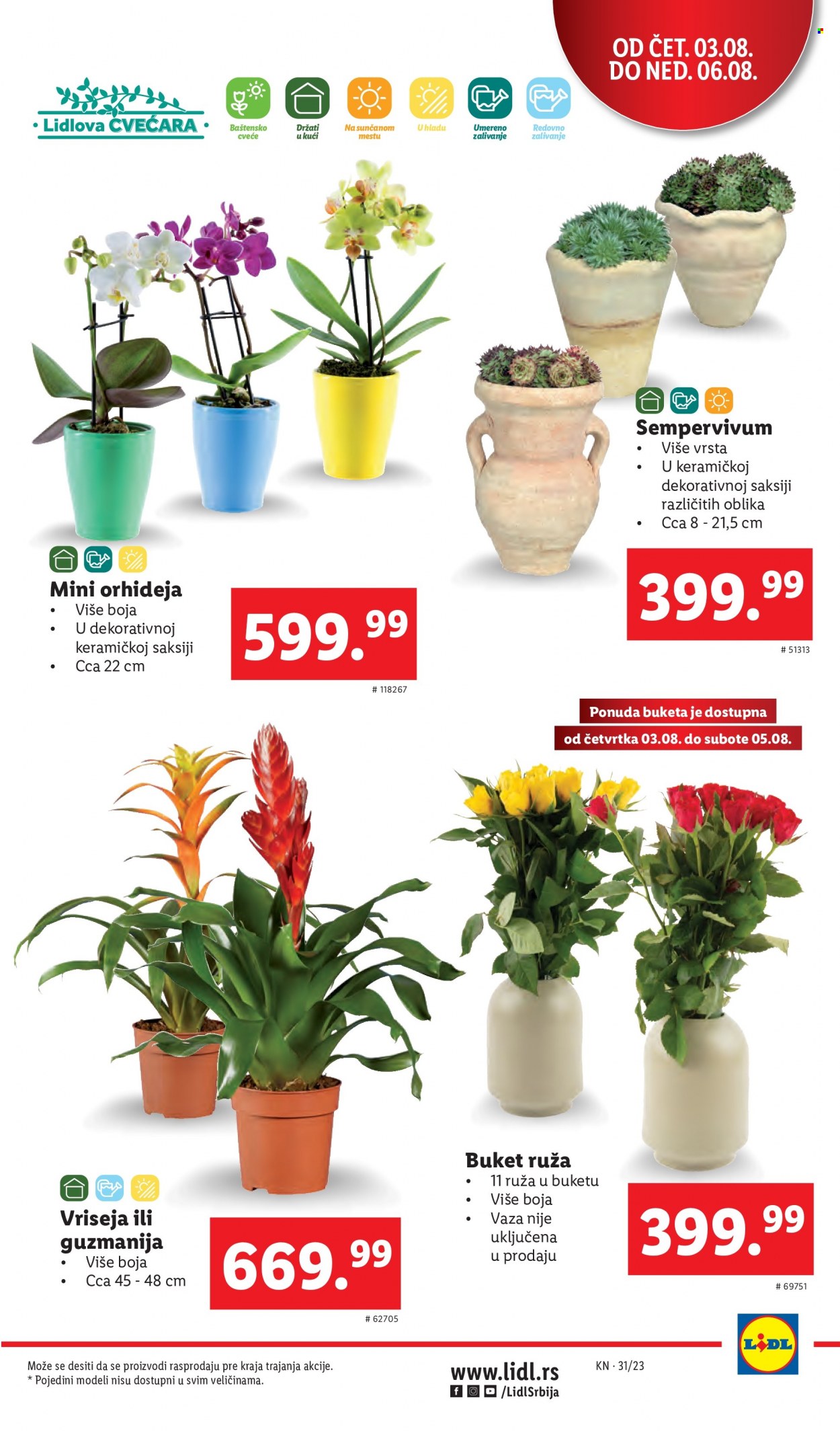 Lidl katalog - 03.08.2023 - 09.08.2023. Stranica 3