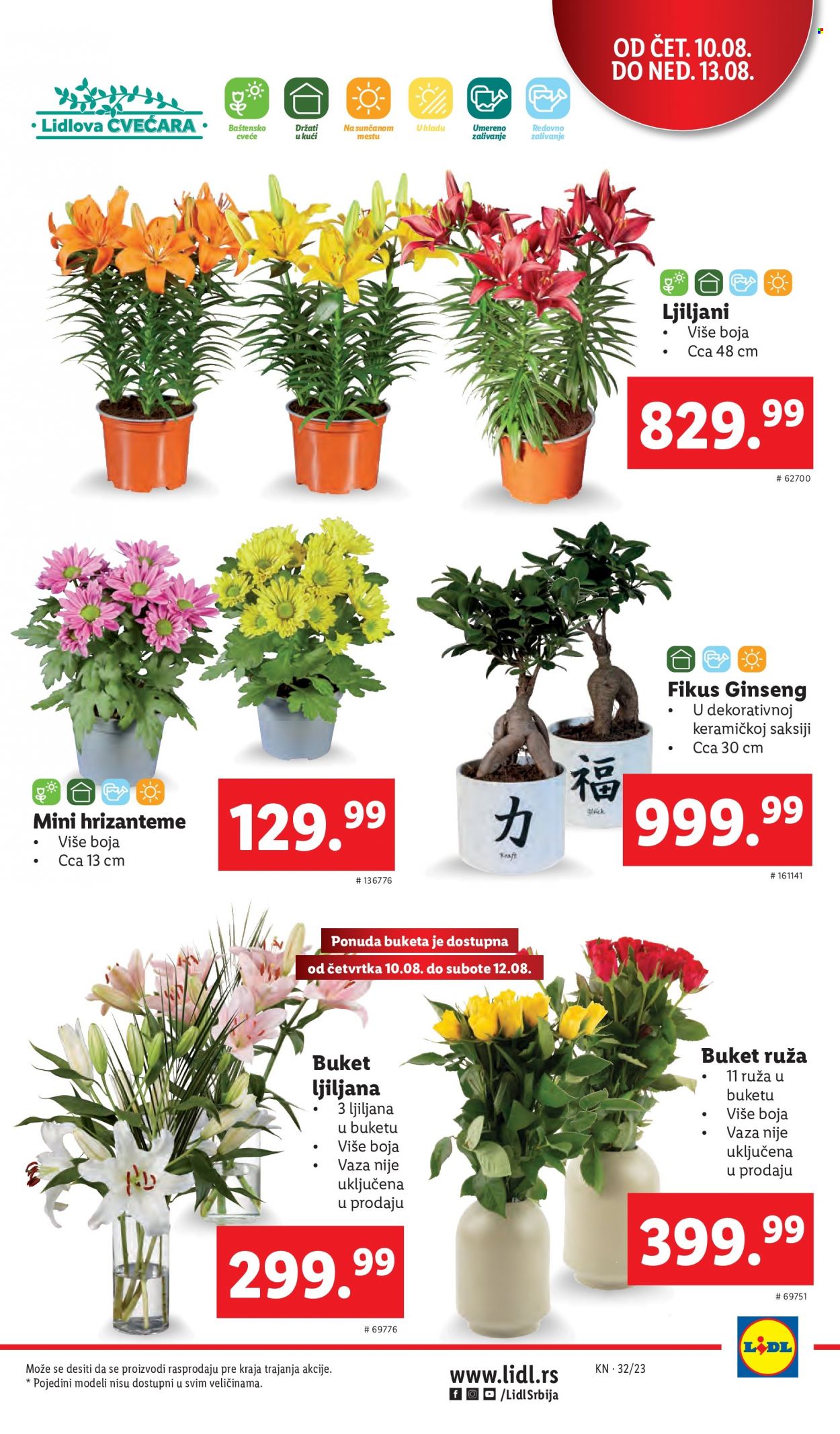 Lidl katalog - 10.08.2023 - 16.08.2023. Stranica 3