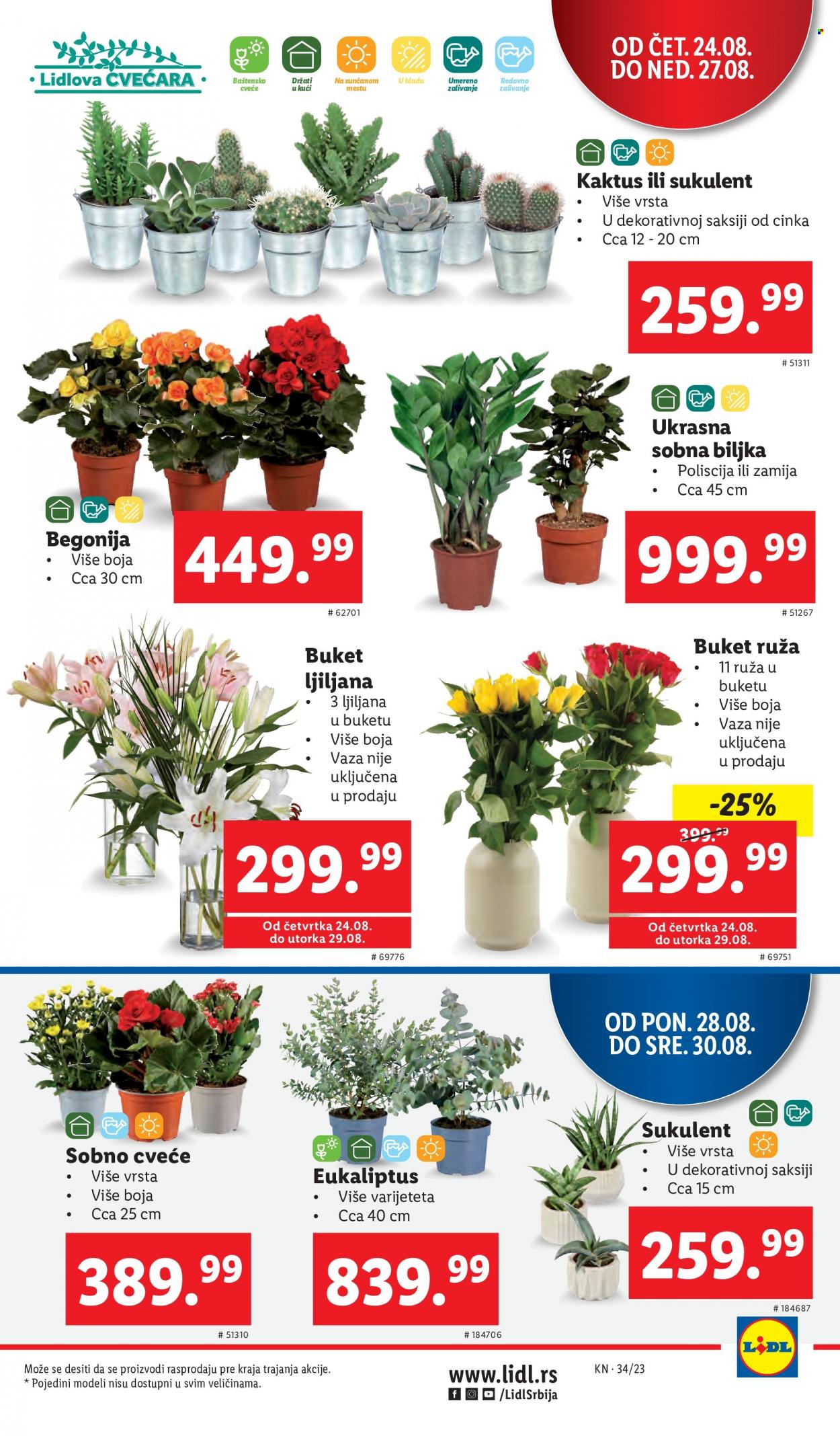 Lidl katalog - 24.08.2023 - 30.08.2023. Stranica 5