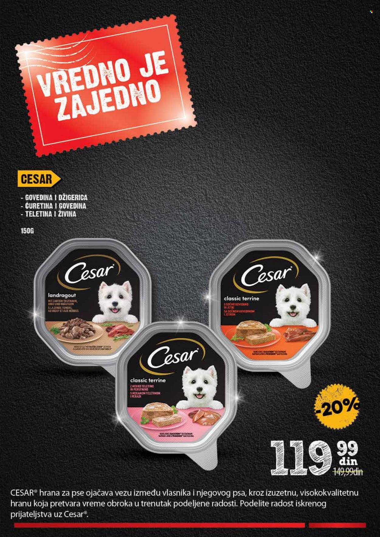 Idea katalog - 21.08.2023 - 17.09.2023. Stranica 23