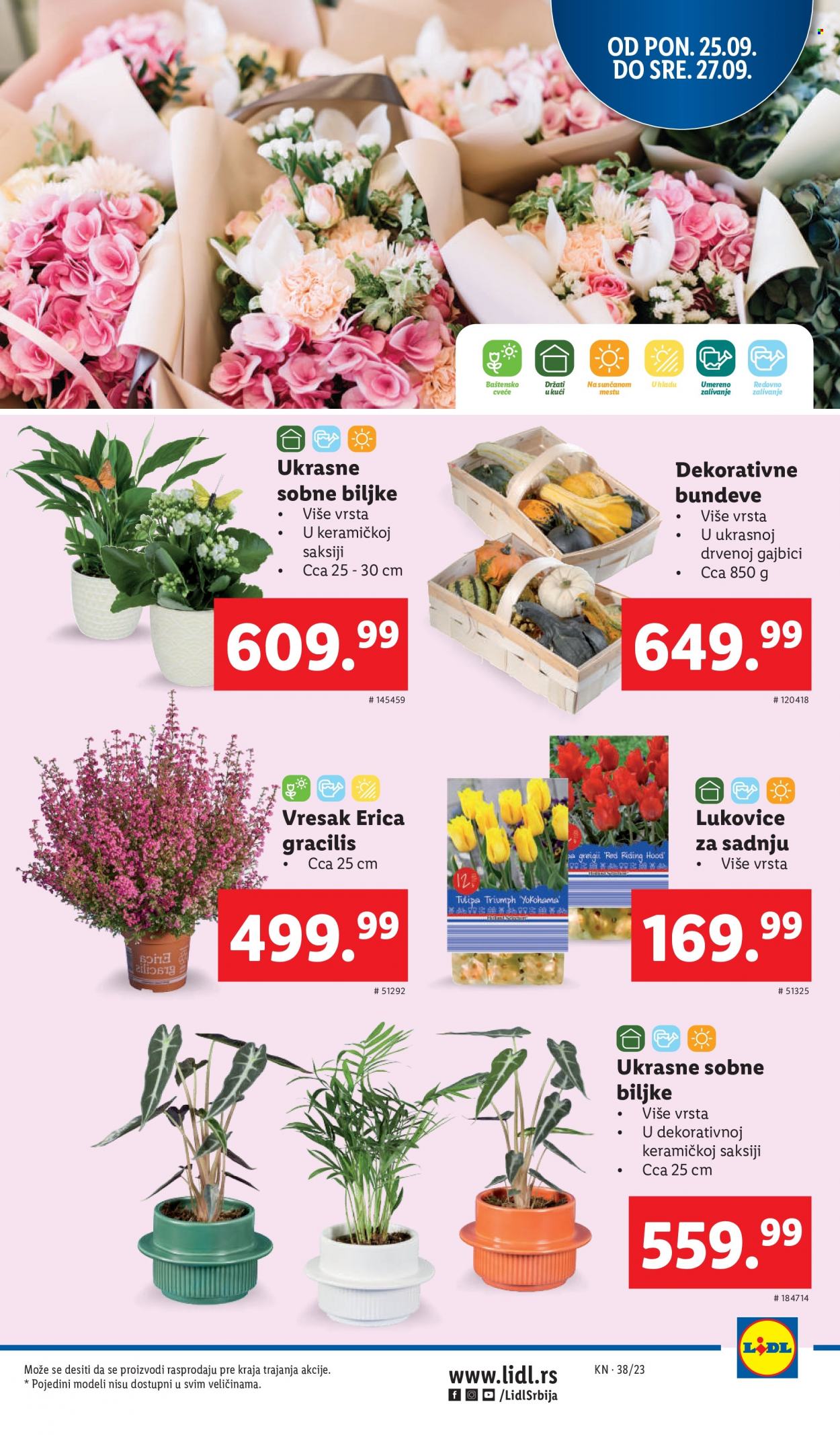 Lidl katalog - 21.09.2023 - 27.09.2023. Stranica 67