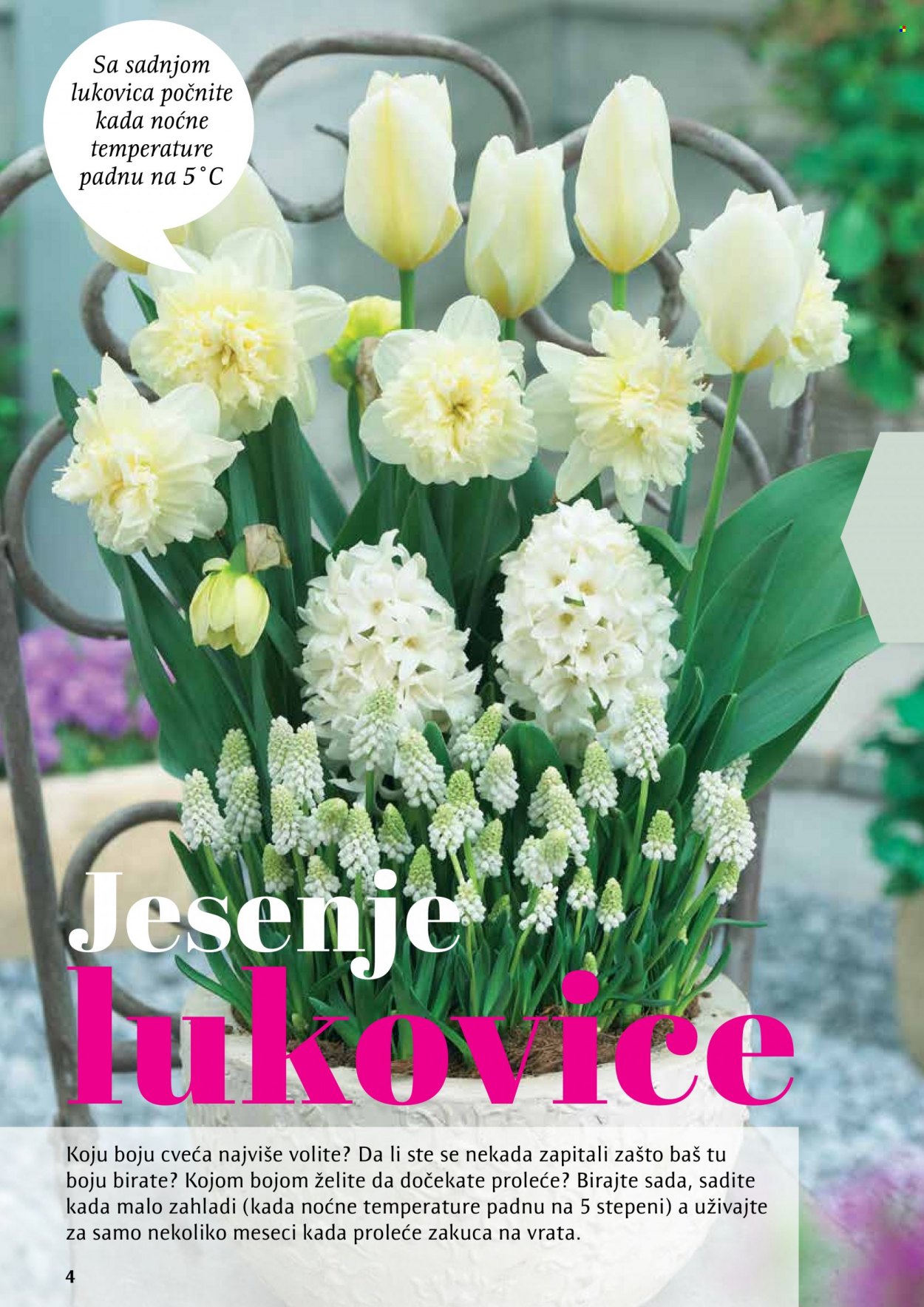 Flora Ekspres katalog. Stranica 4