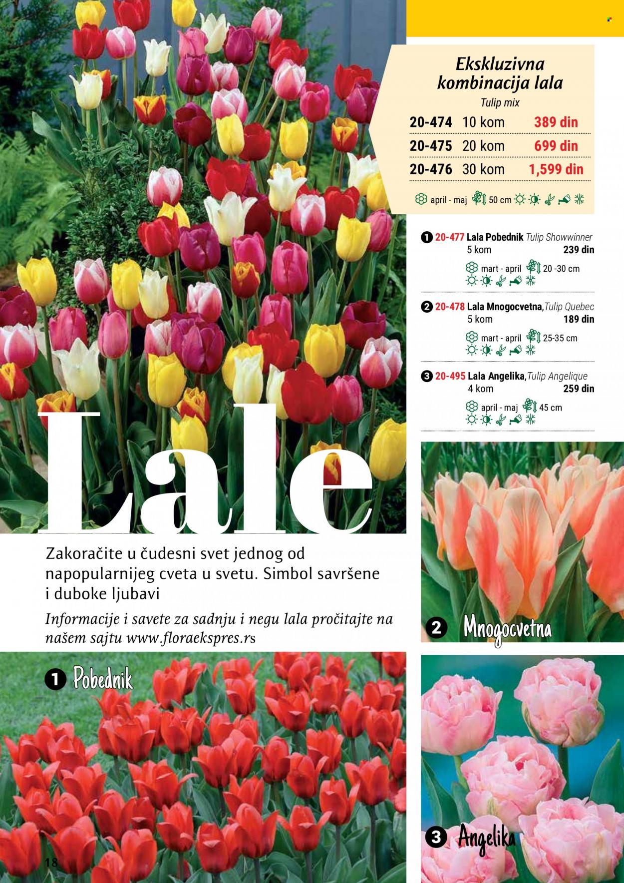 Flora Ekspres katalog. Stranica 18