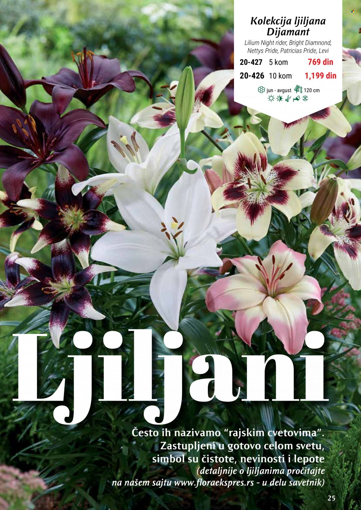 Flora Ekspres katalog. Stranica 25