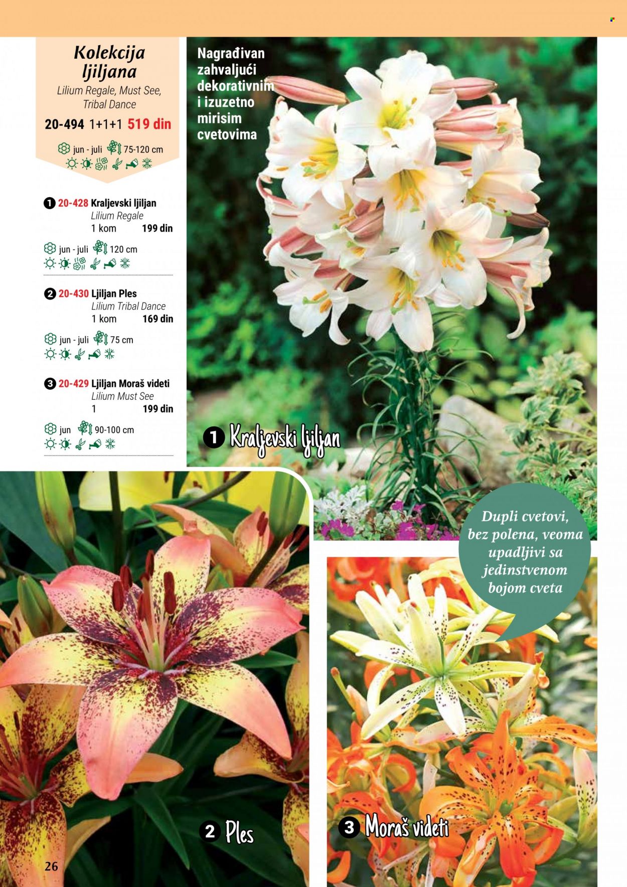 Flora Ekspres katalog. Stranica 26