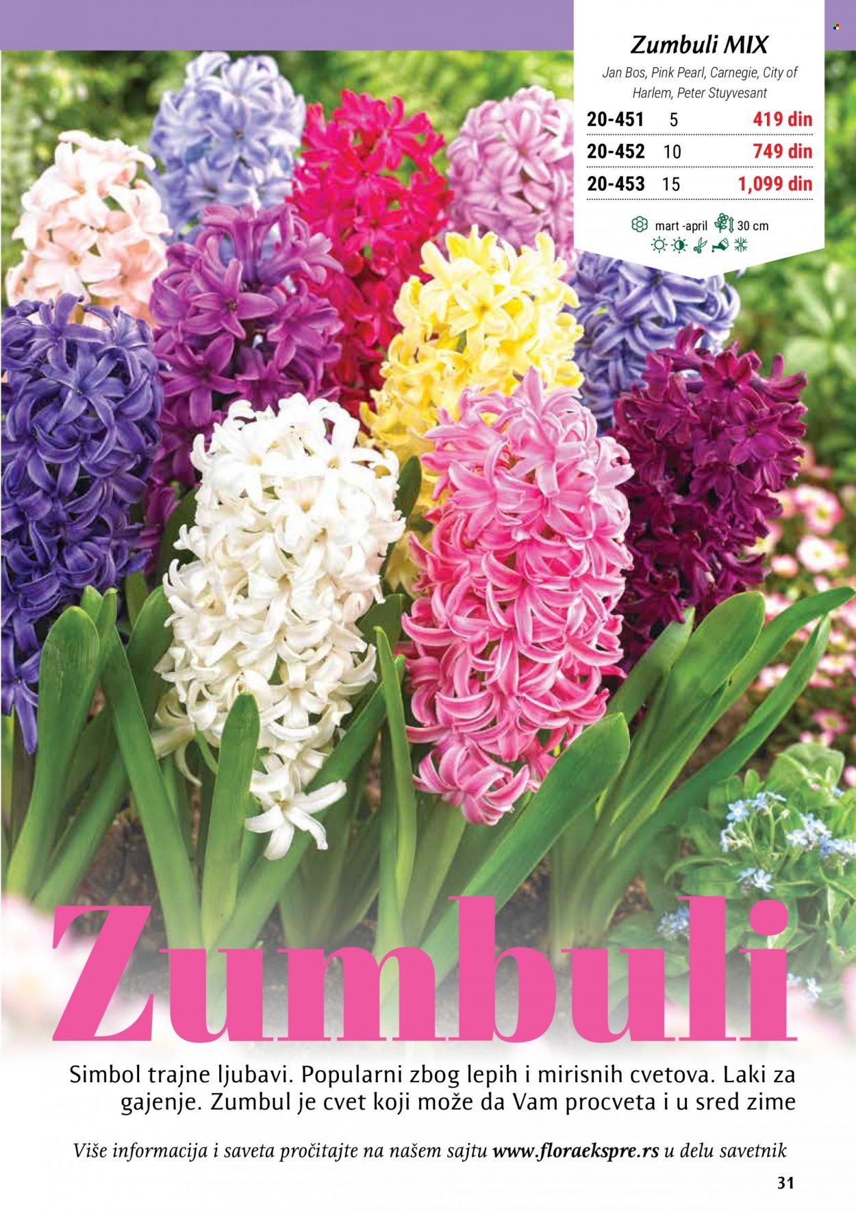 Flora Ekspres katalog. Stranica 31